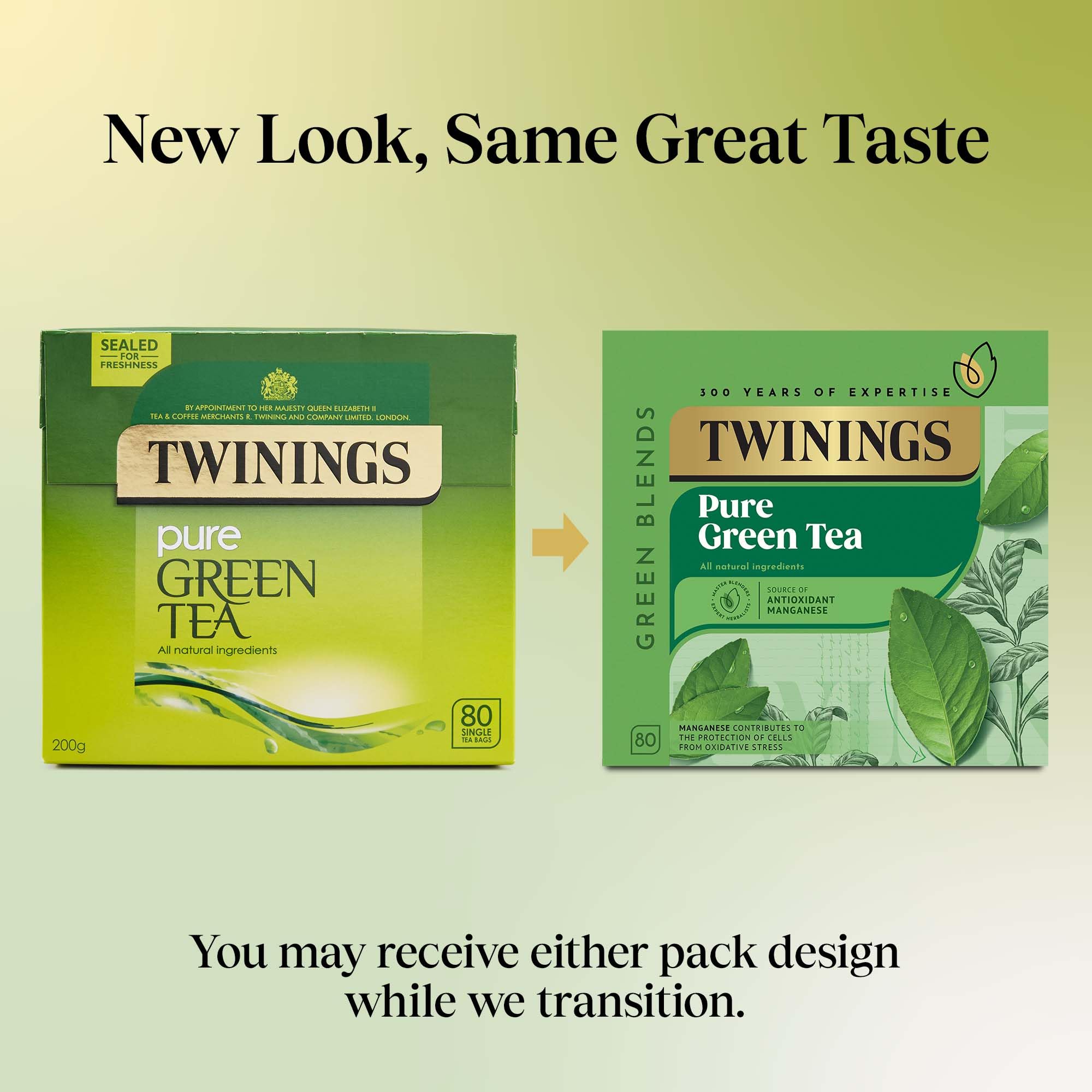 Twinings Pure Green Tea - 320 Tea Bags (Multipack of 4 x 80) 6
