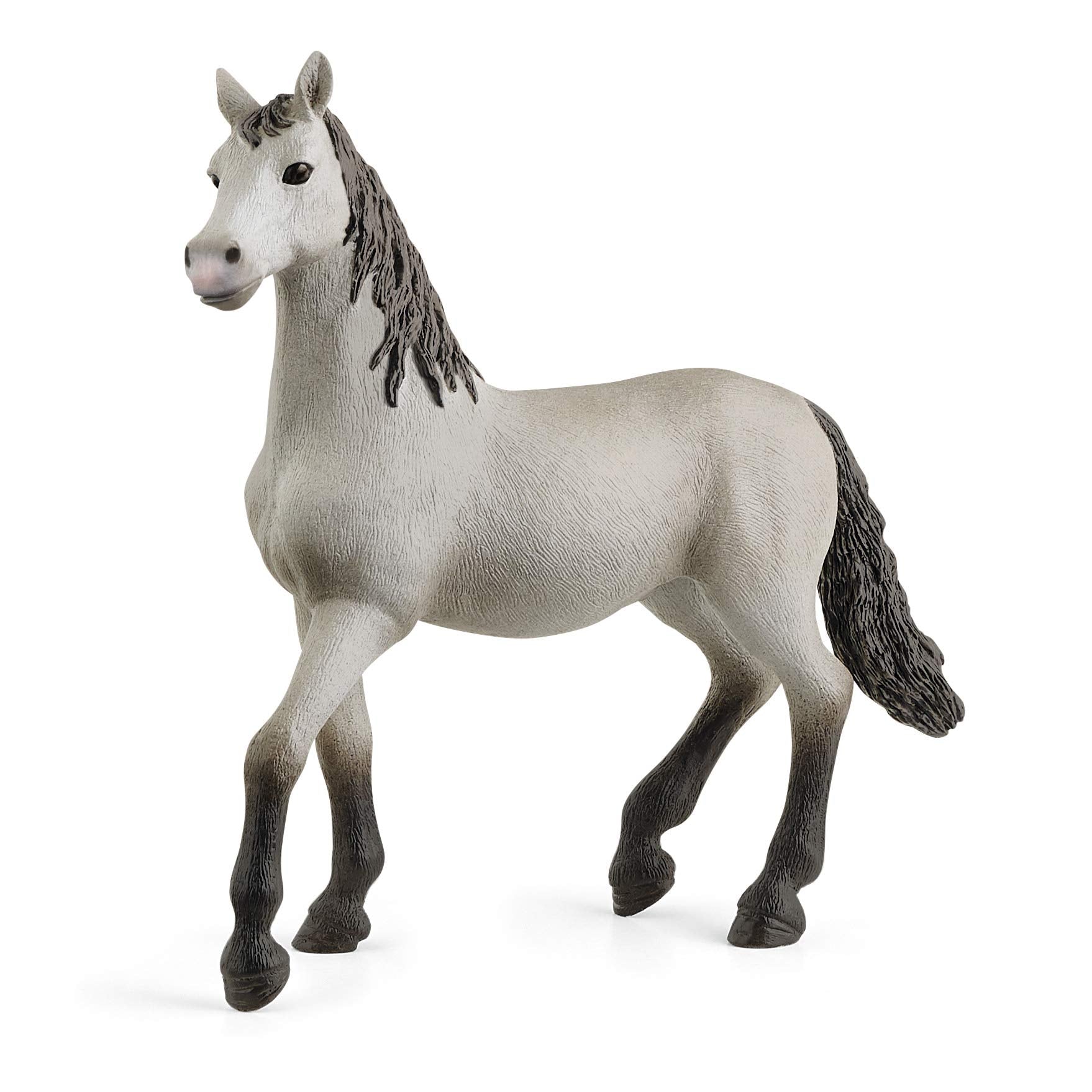 SCHLEICH Pura Raza Española Young Horse - Detailed Horse Club Figurine for Kids 5-12 1