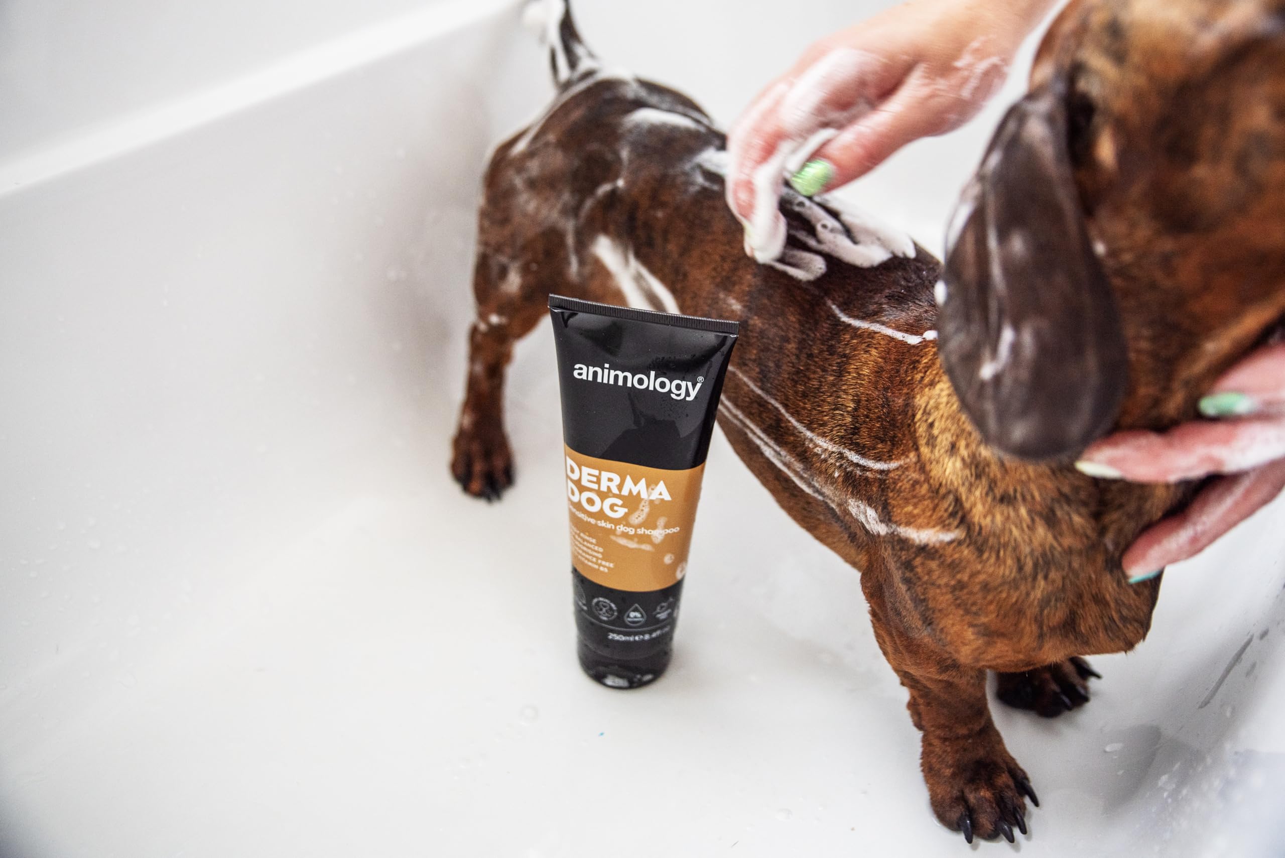 Animology Derma Dog Fragrance Free Mild Shampoo for Dogs | 250 ml | pH Balanced 2