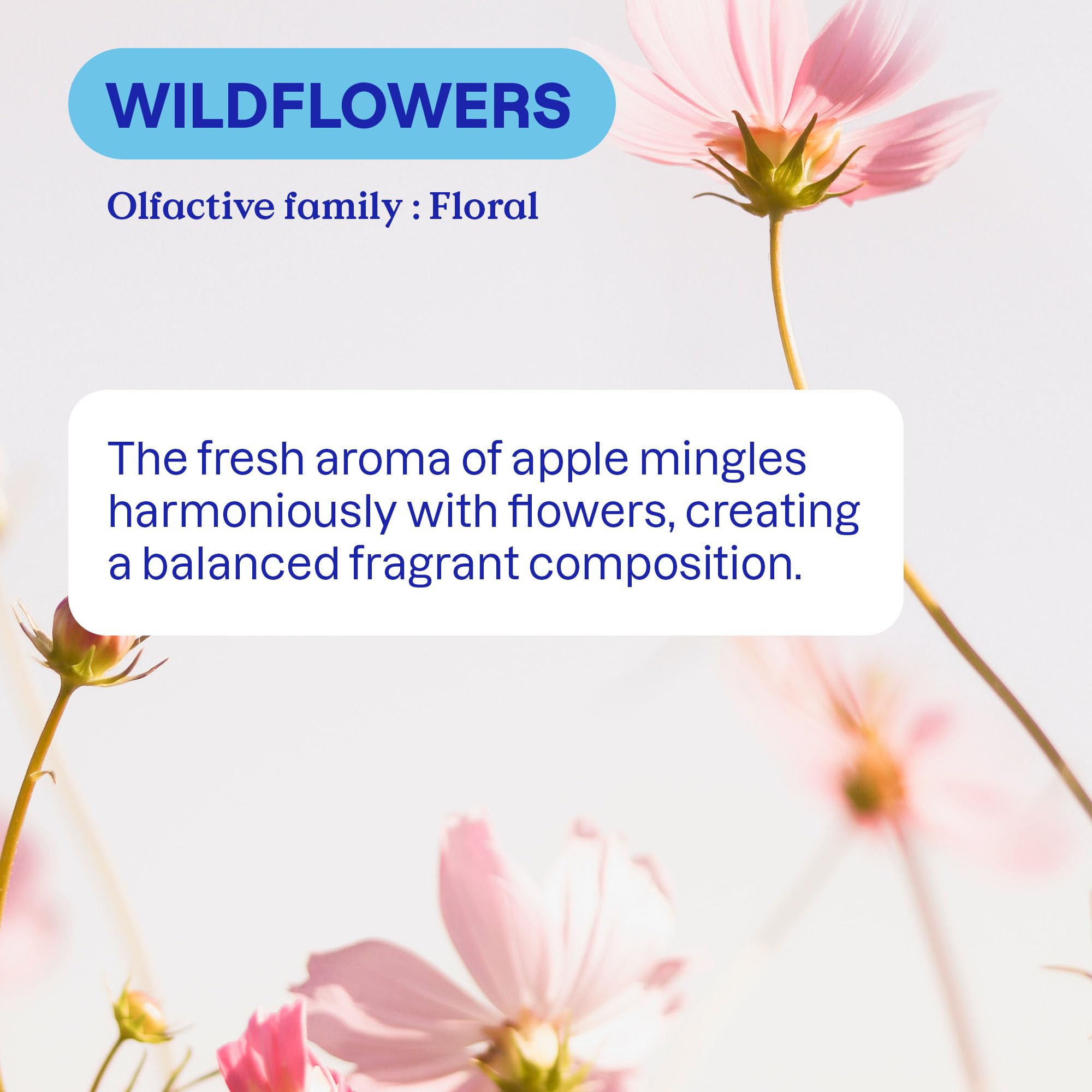 ATTITUDE EWG Verified Plant-Based Dish Soap - Wildflowers Scent | 700 ml | Biodegradable 5