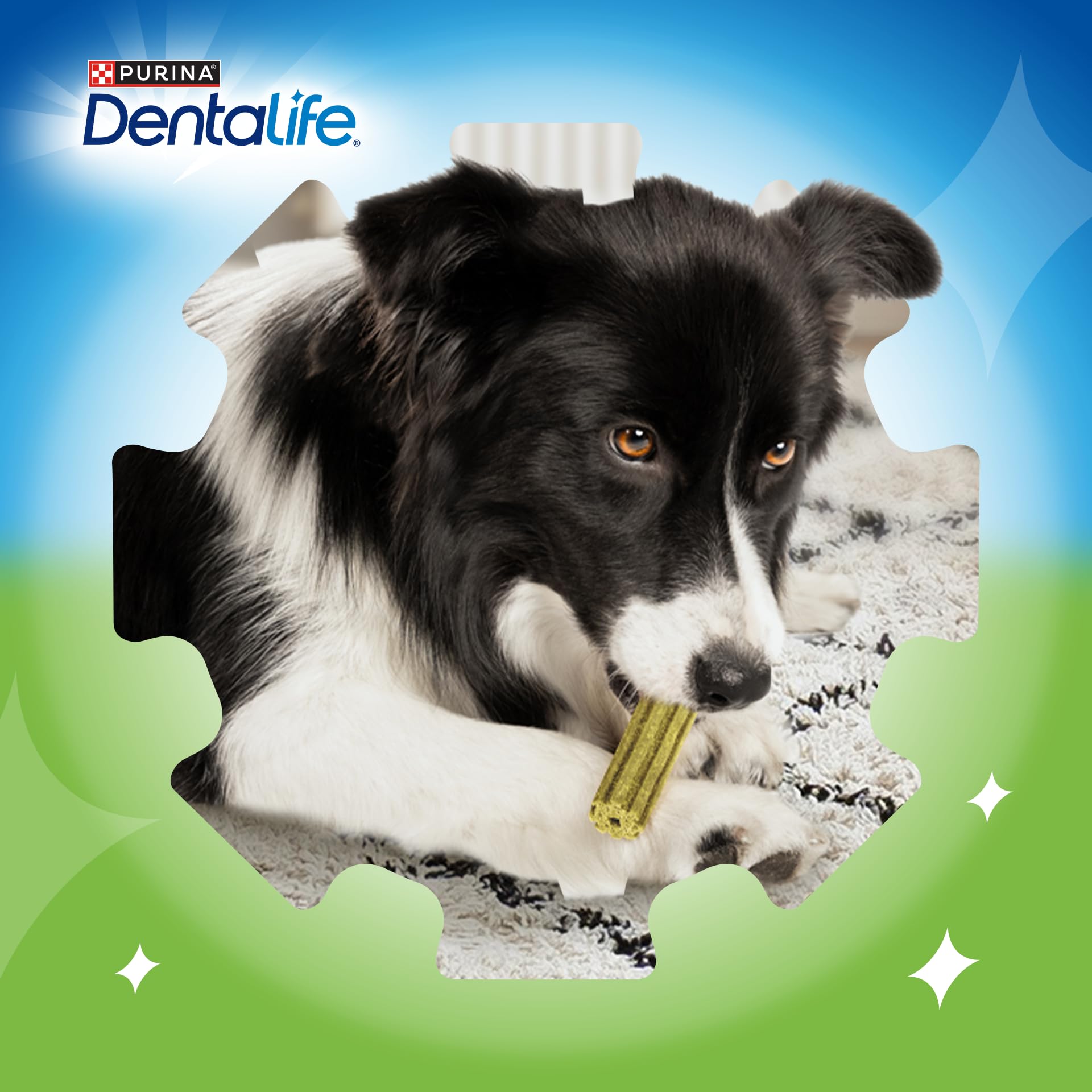 Dentalife ActivFresh Chicken Dental Sticks for Small Dogs - 30 Sticks (Pack of 2) 7