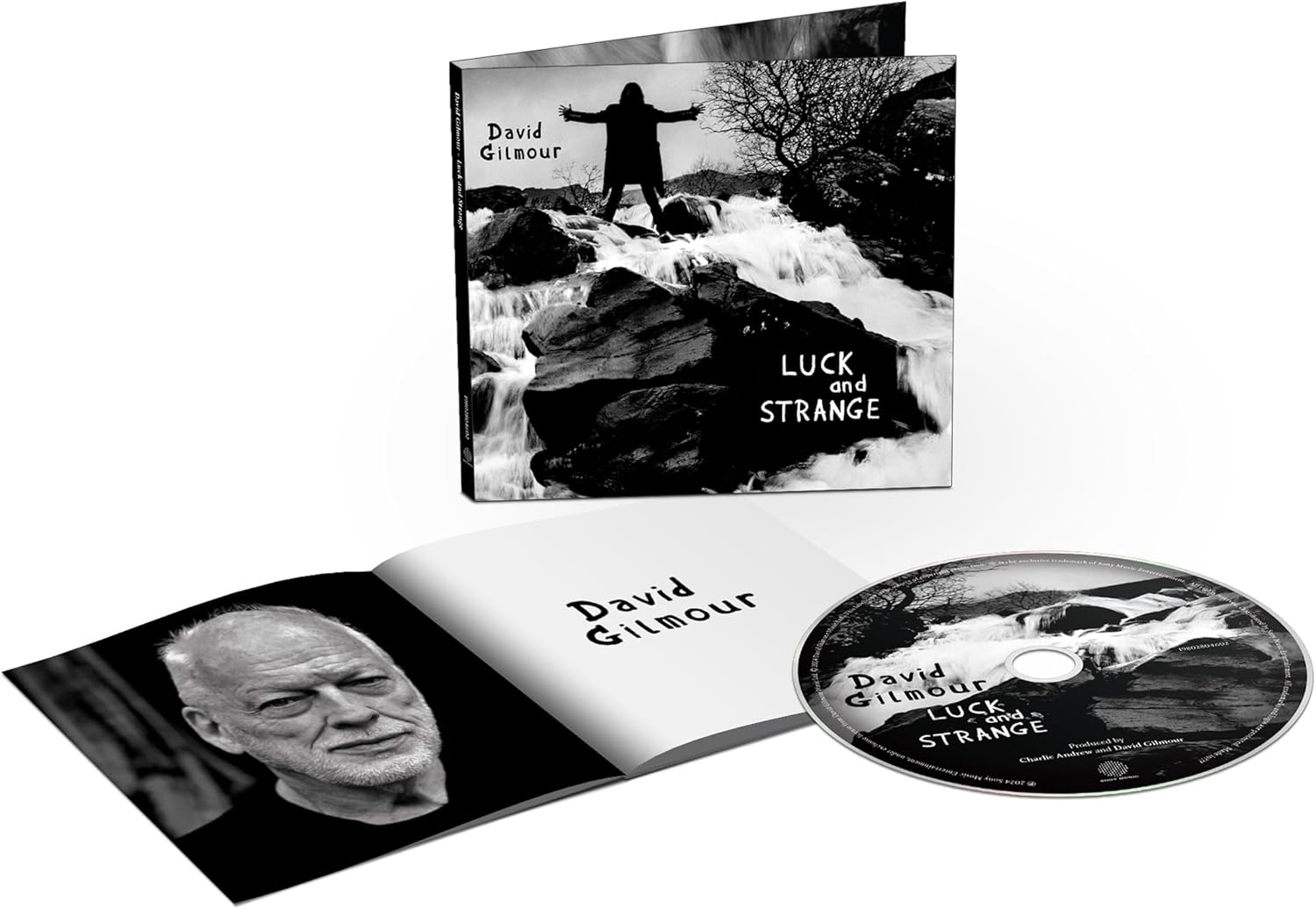 David Gilmour - Luck and Strange [Audio CD] 2