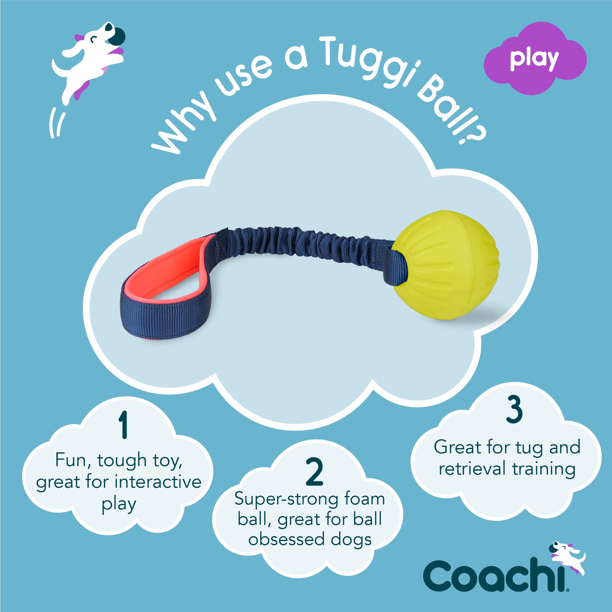 Coachi Tuggi Ball - Interactive Dog Toy for Tug of War & Fetch | Bungee Handle | Navy, Coral & Lime 2