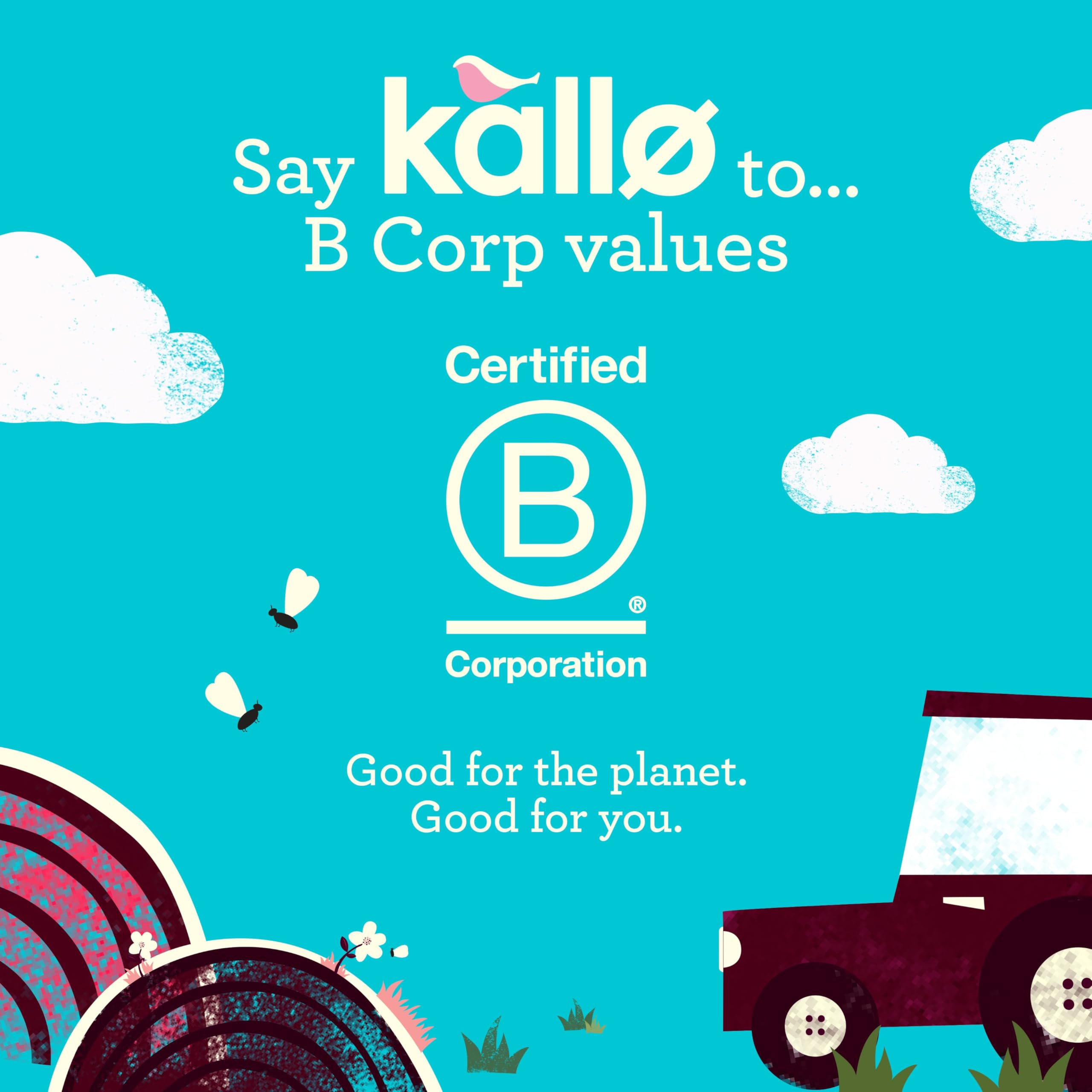 Kallo Beetroot & Balsamic Veggie Cakes, Lentil & Pea Puffed Crackers – 122g 11