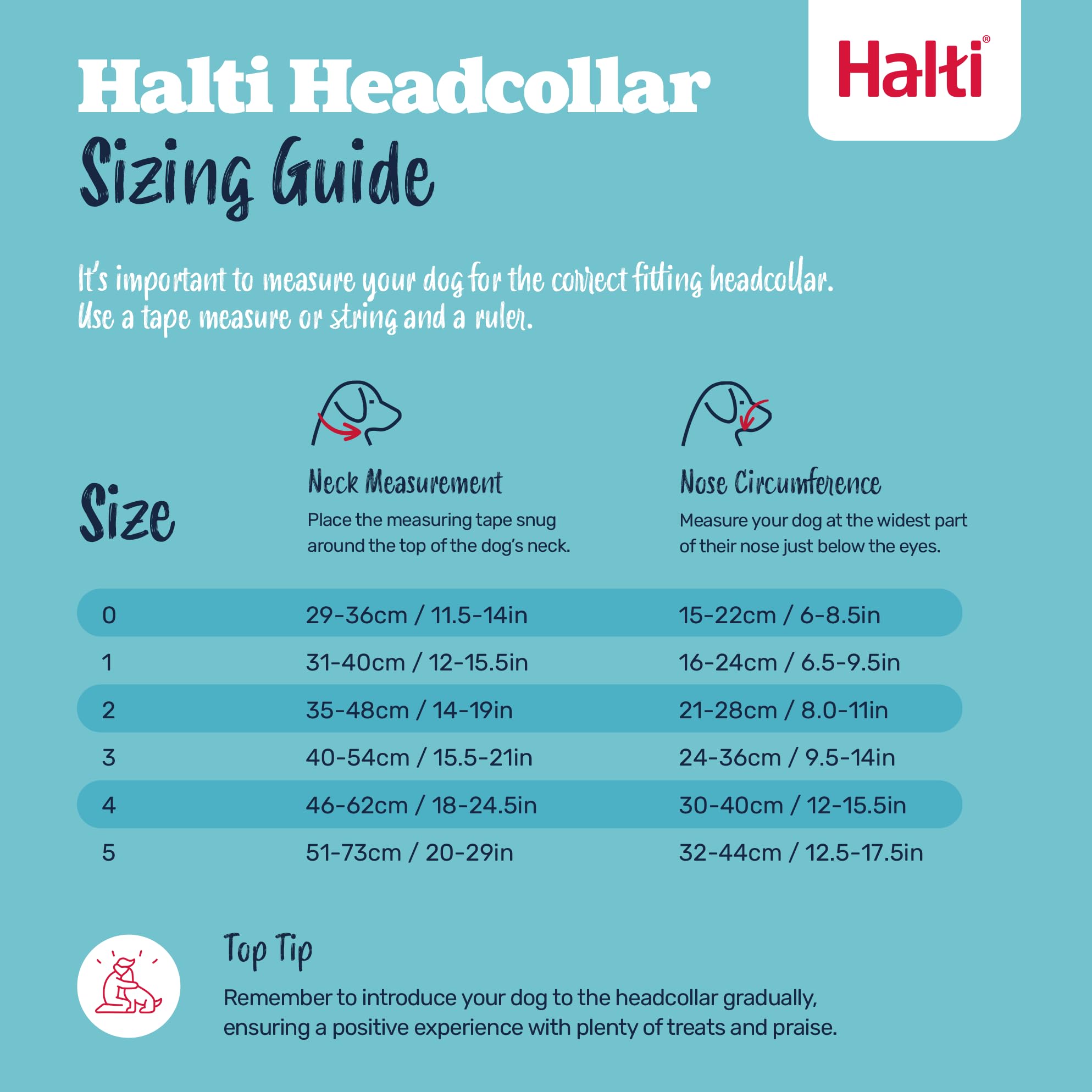 Halti Headcollar - Stops Pulling for Dogs | Size 3 Cobalt Blue | Reflective Nylon 5