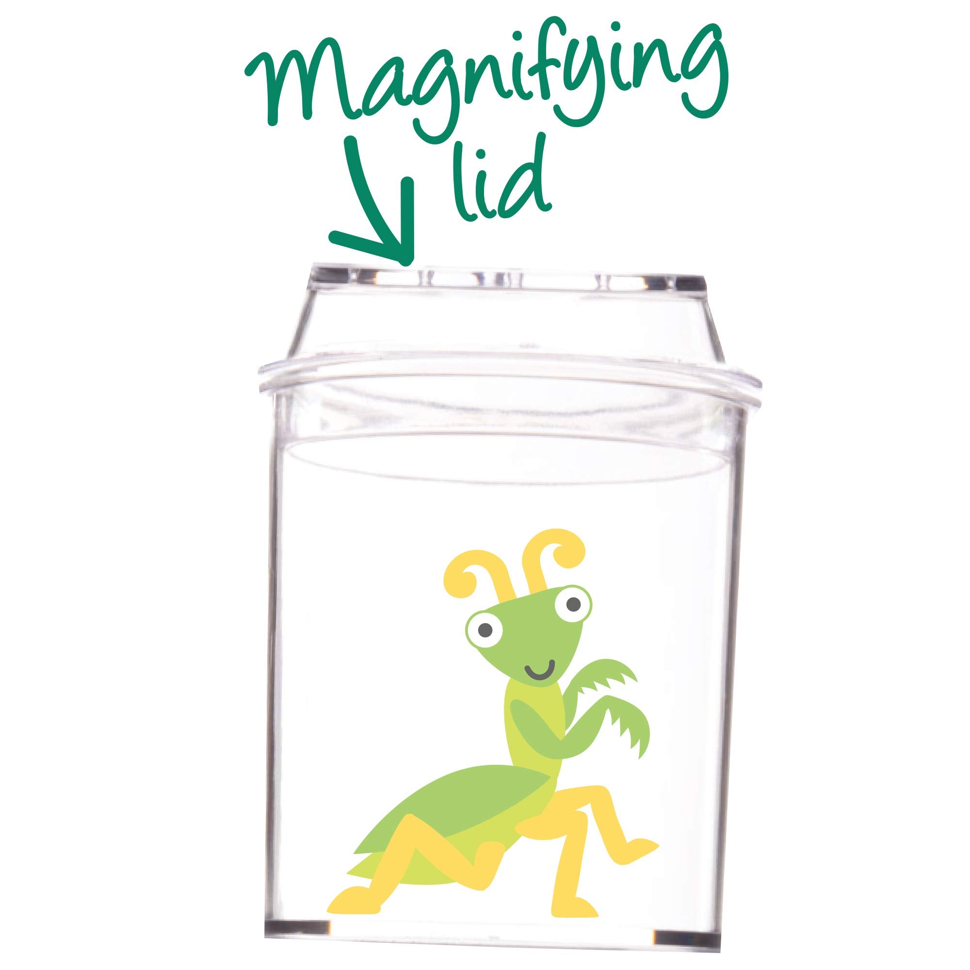Baker Ross Bug Jars - Pack of 6 for STEM Learning & Outdoor Insect Observation | AT578 3