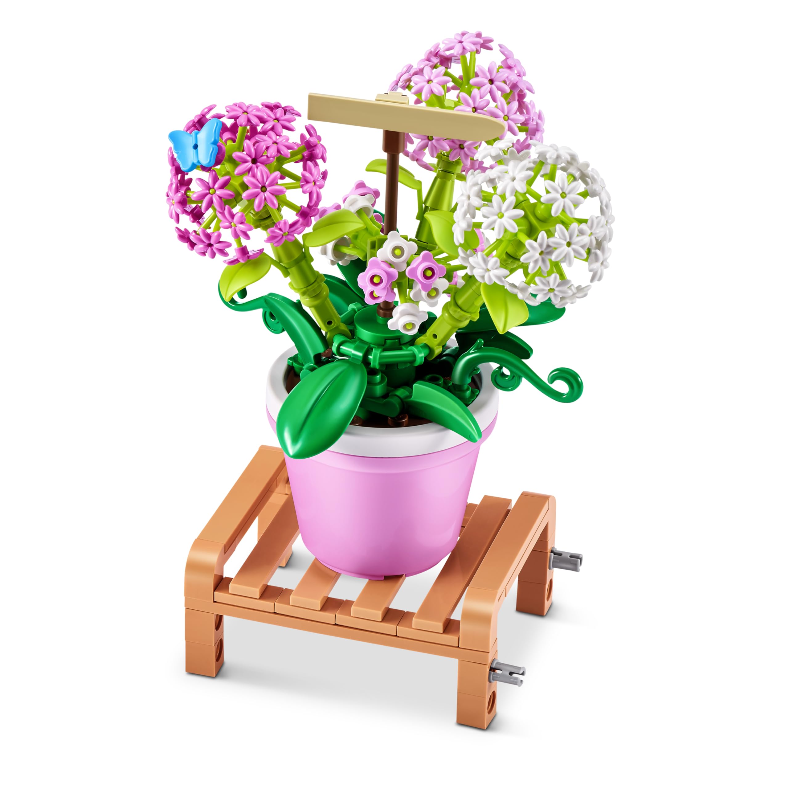 MAX Premium Garden Pot Plants Building Bricks - Hydrangea Macrophylla (1 Capsule, 3+ Years) 4