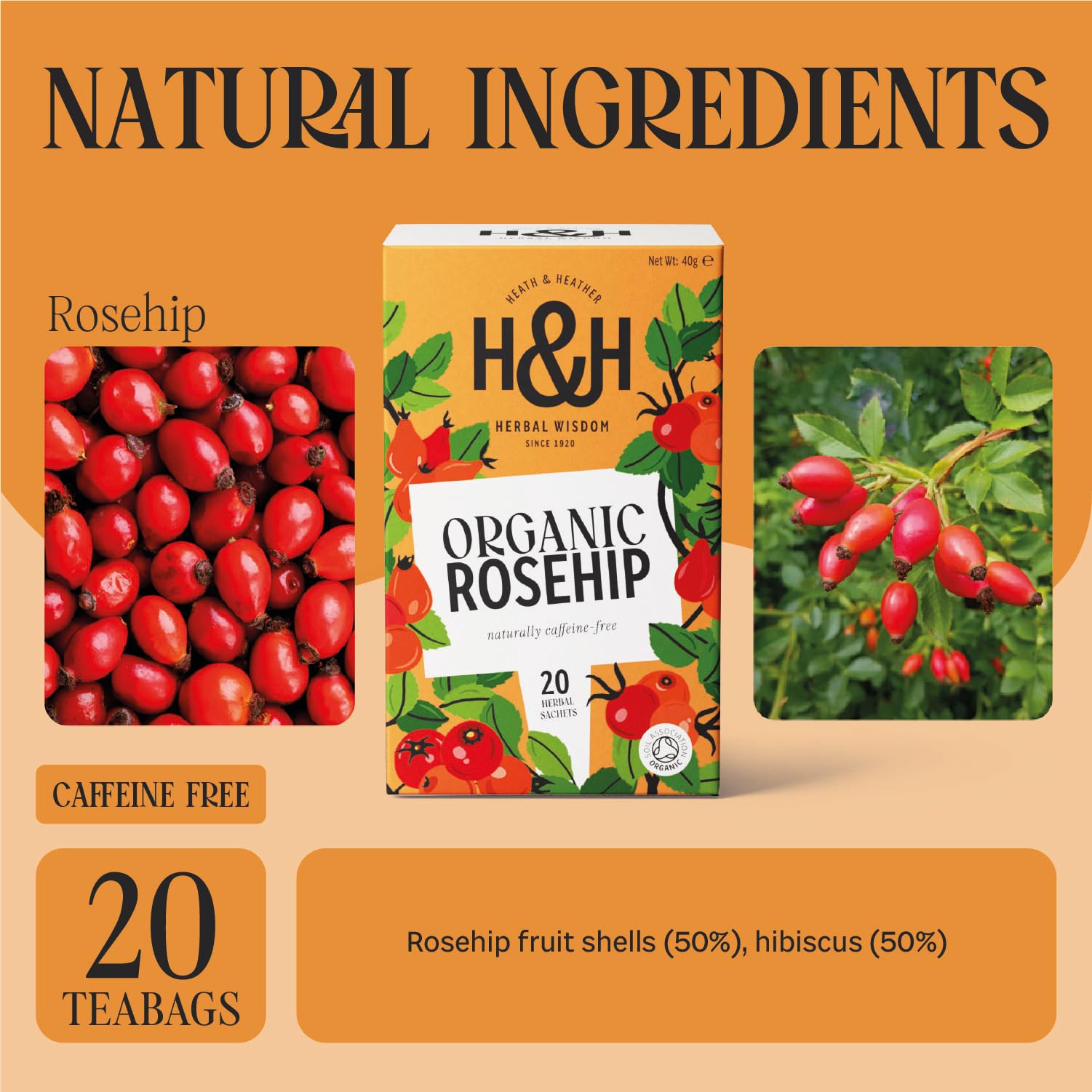 Heath & Heather Organic Rosehip Tea - Immune Support & Tart Fruity Infusion | 20 Count 2