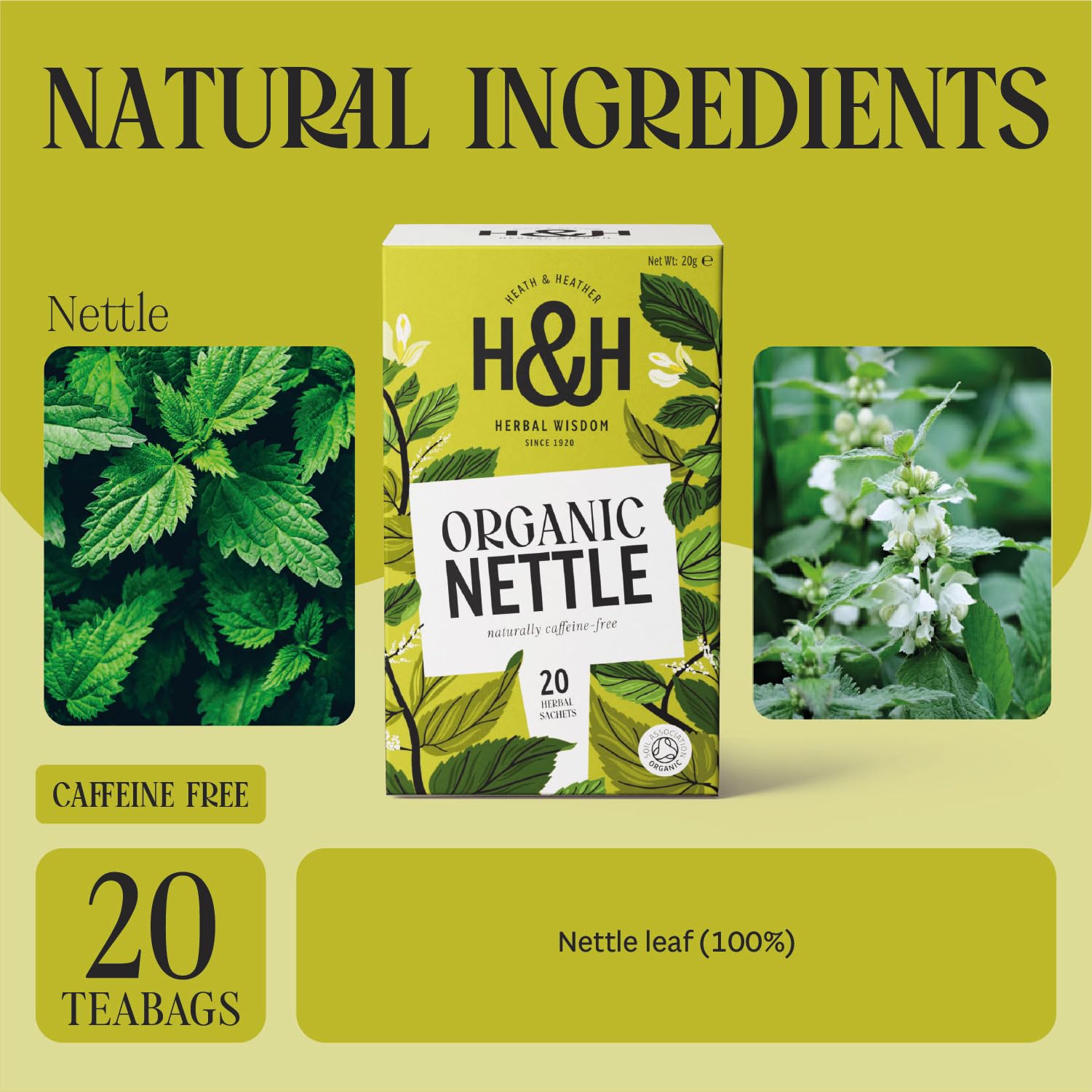 Heath & Heather Organic Nettle Tea - 20 Count Teabags | Detox & Immunity Support | Caffeine-Free