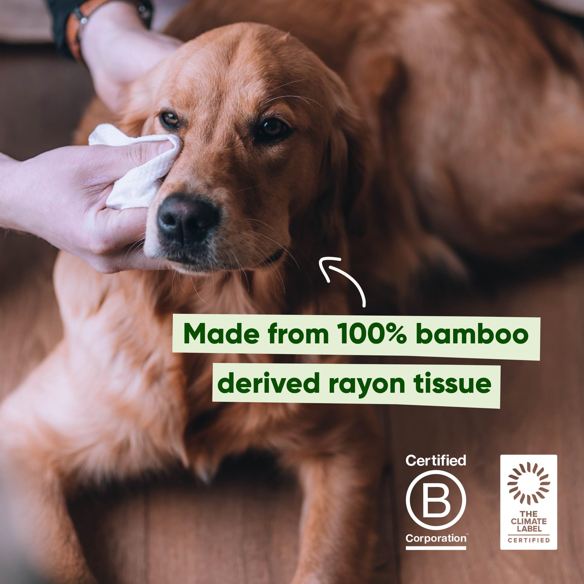 Beco Dog Eye Wipes - 70 Pack for Eye Discharge & Tear Stains | Aloe Vera & Cucumber Infused 7