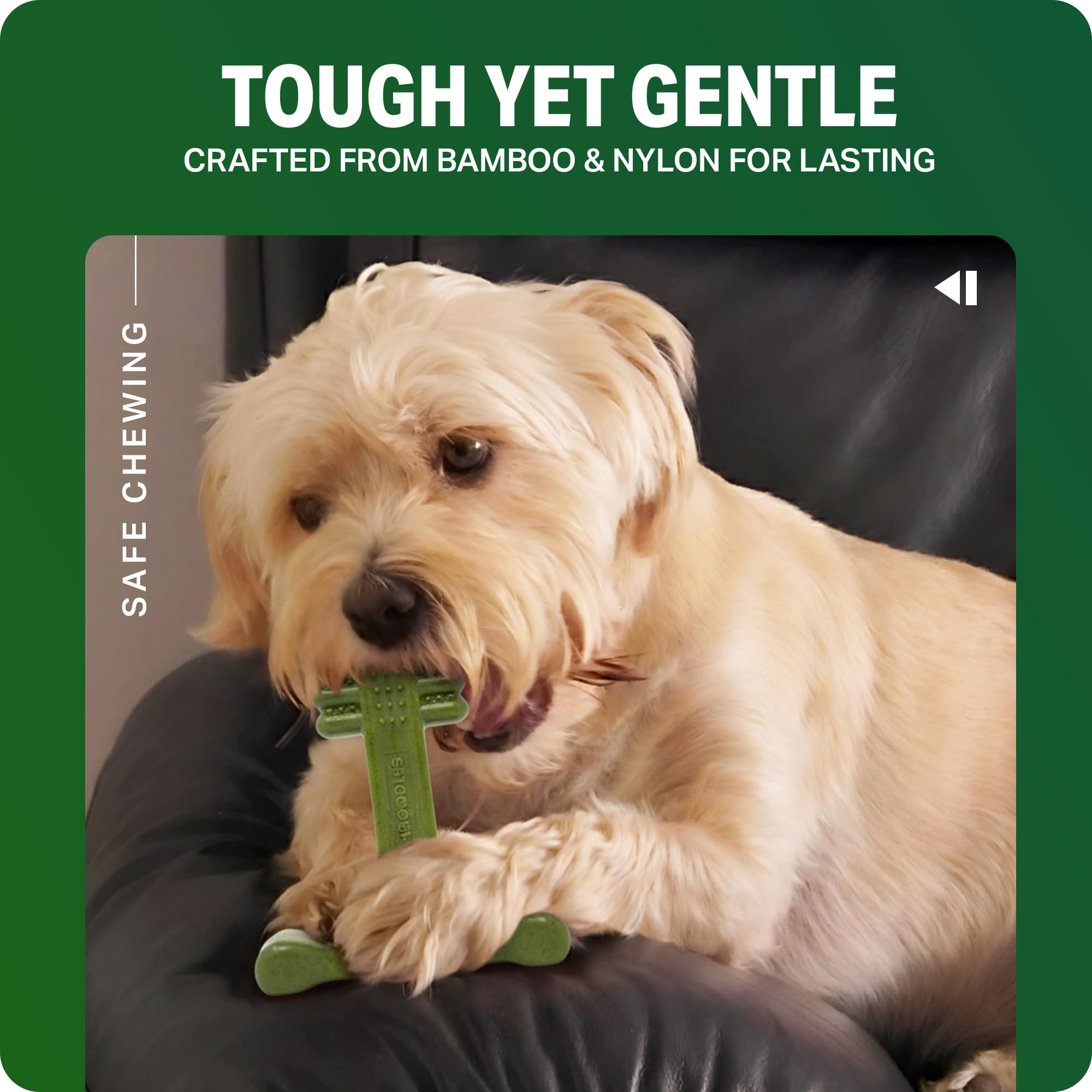 Bamboodles T-Bone Dog Chew Toy - Small Size | Mint & Lamb Flavor | Durable Natural Materials 6