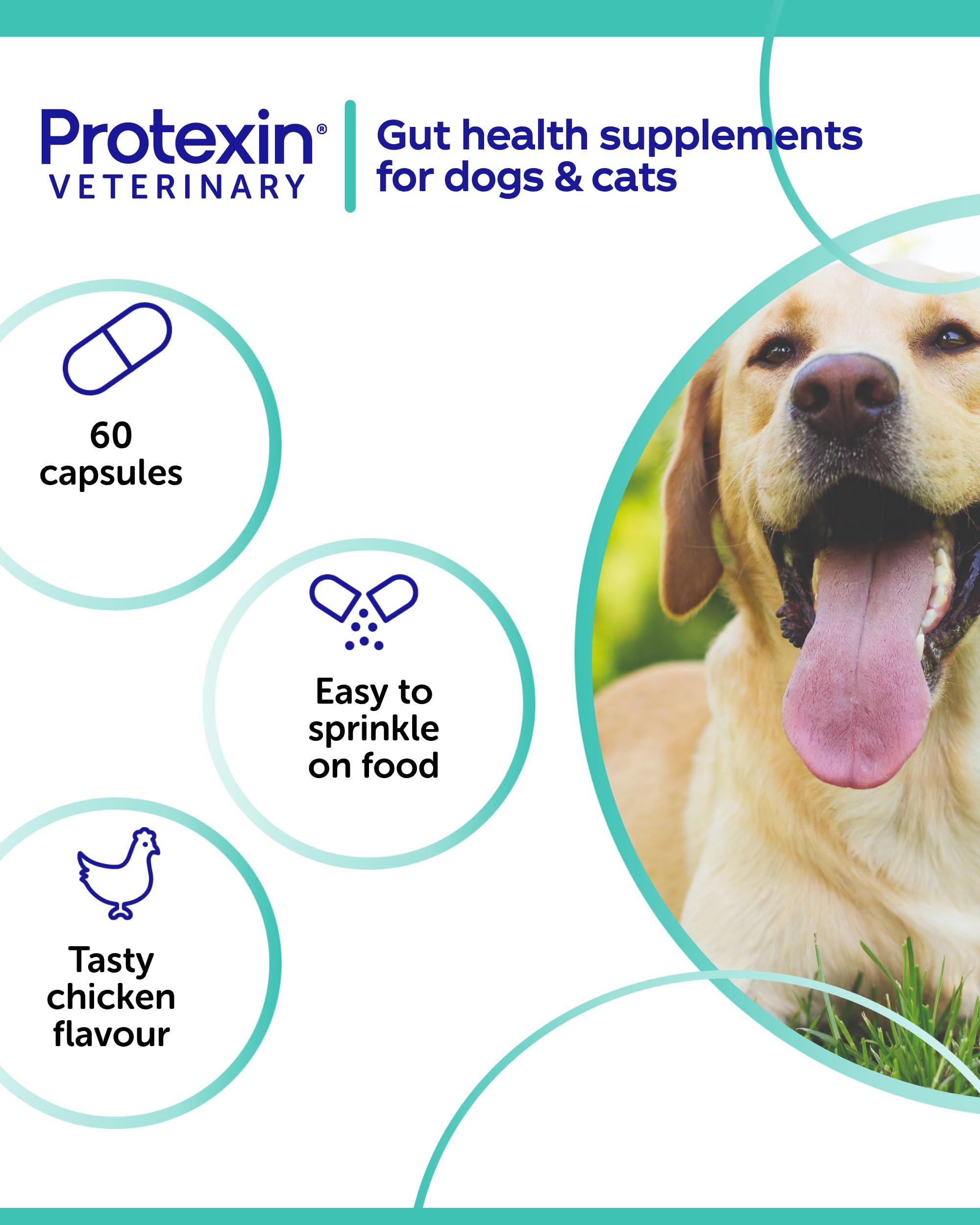 Protexin Cobalaplex Multivitamin Capsules for Dogs & Cats - B12, Folic Acid & Prebiotics | 60 Count 5