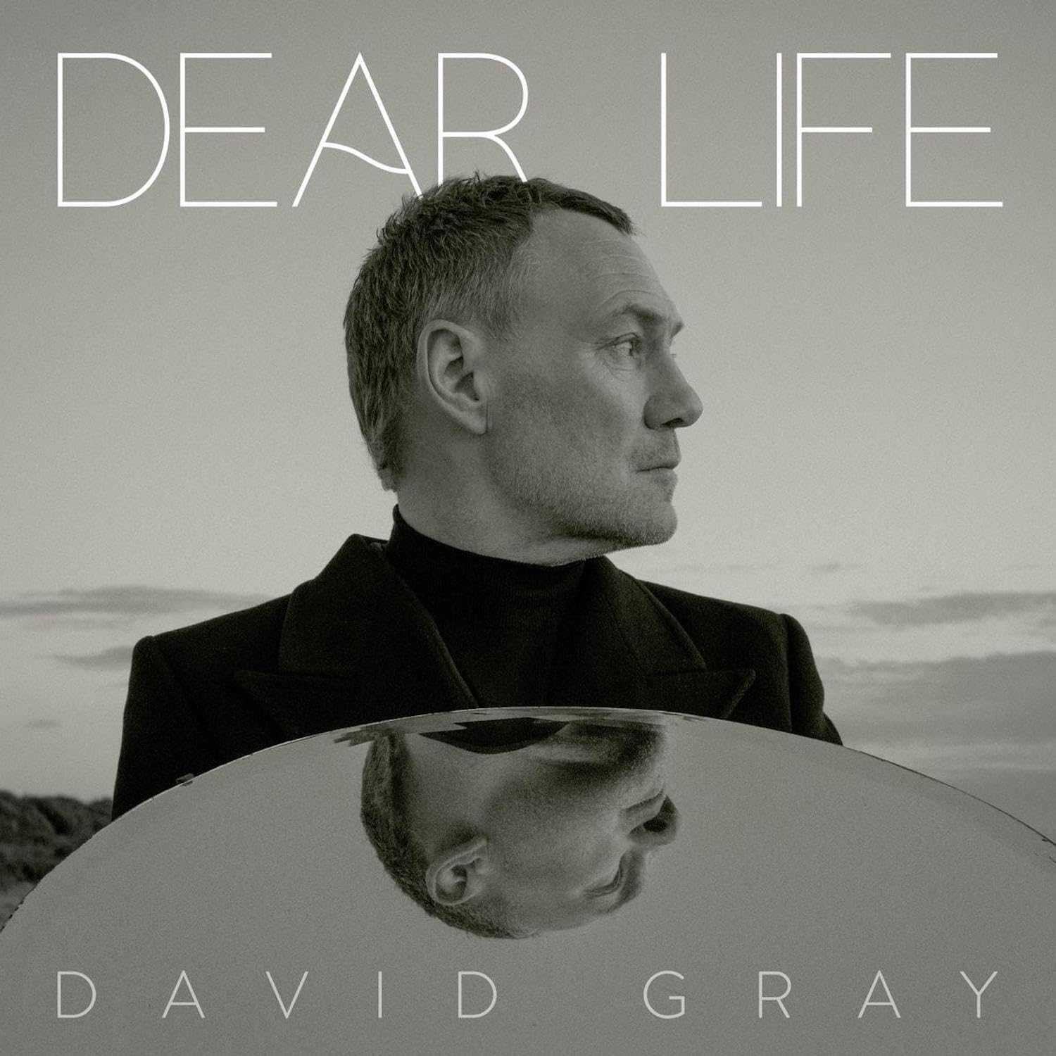 David Gray - Dear Life Audio CD 1