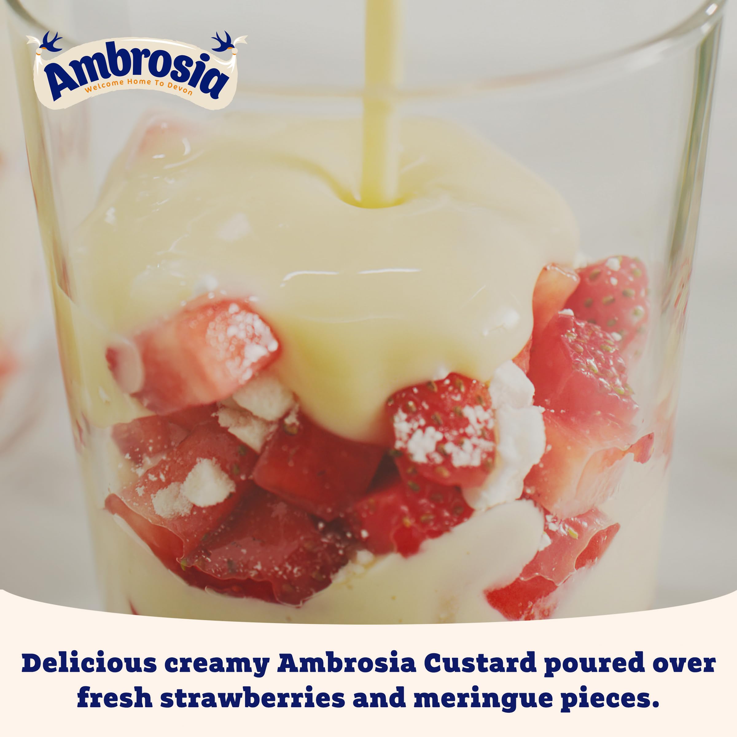 Ambrosia Devon Custard Chocolate Flavour, Creamy Ready-to-Eat Dessert, 150g 3