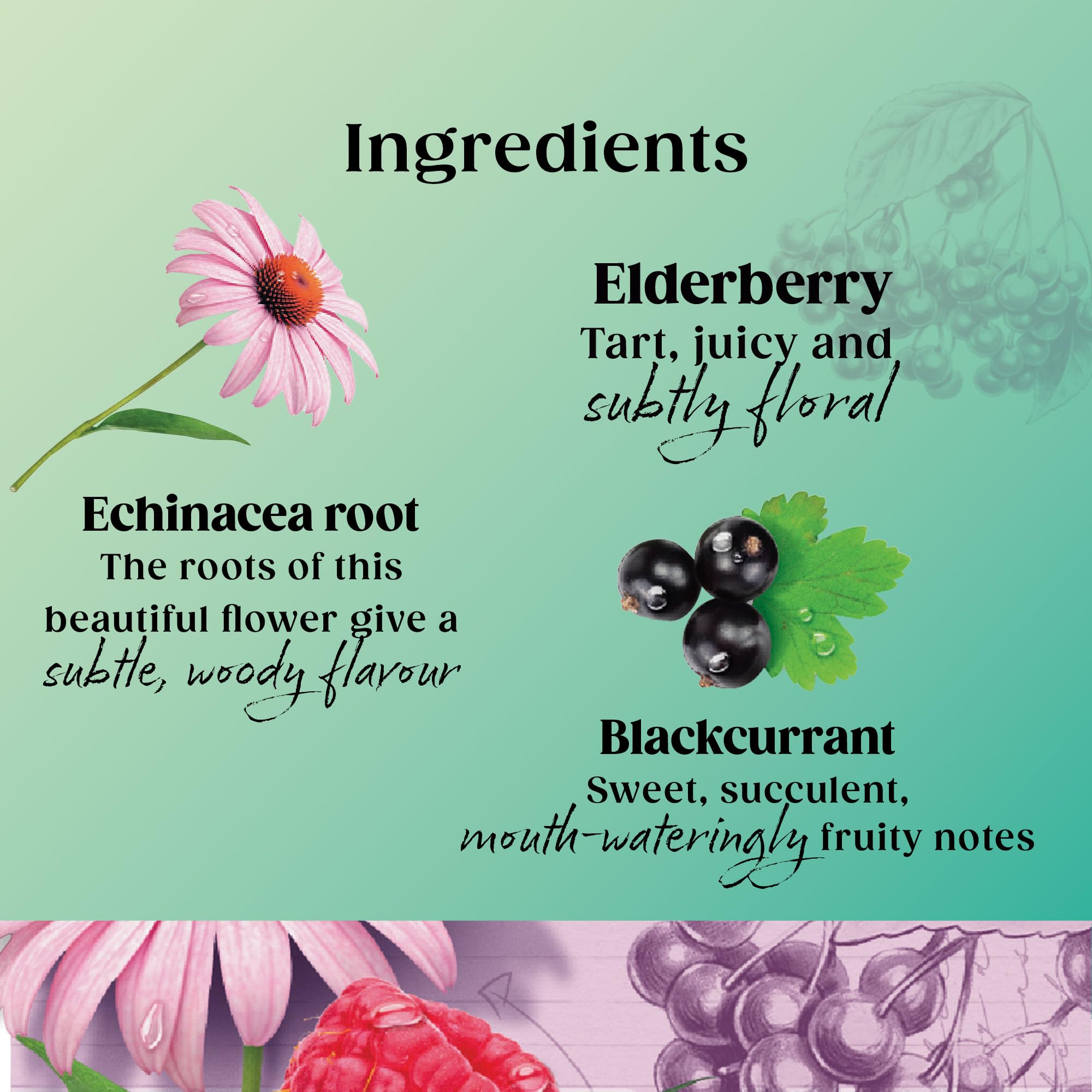 Twinings Superblends Immune Support Herbal Tea - Blackcurrant, Raspberry & Elderberry | 80 Count 4