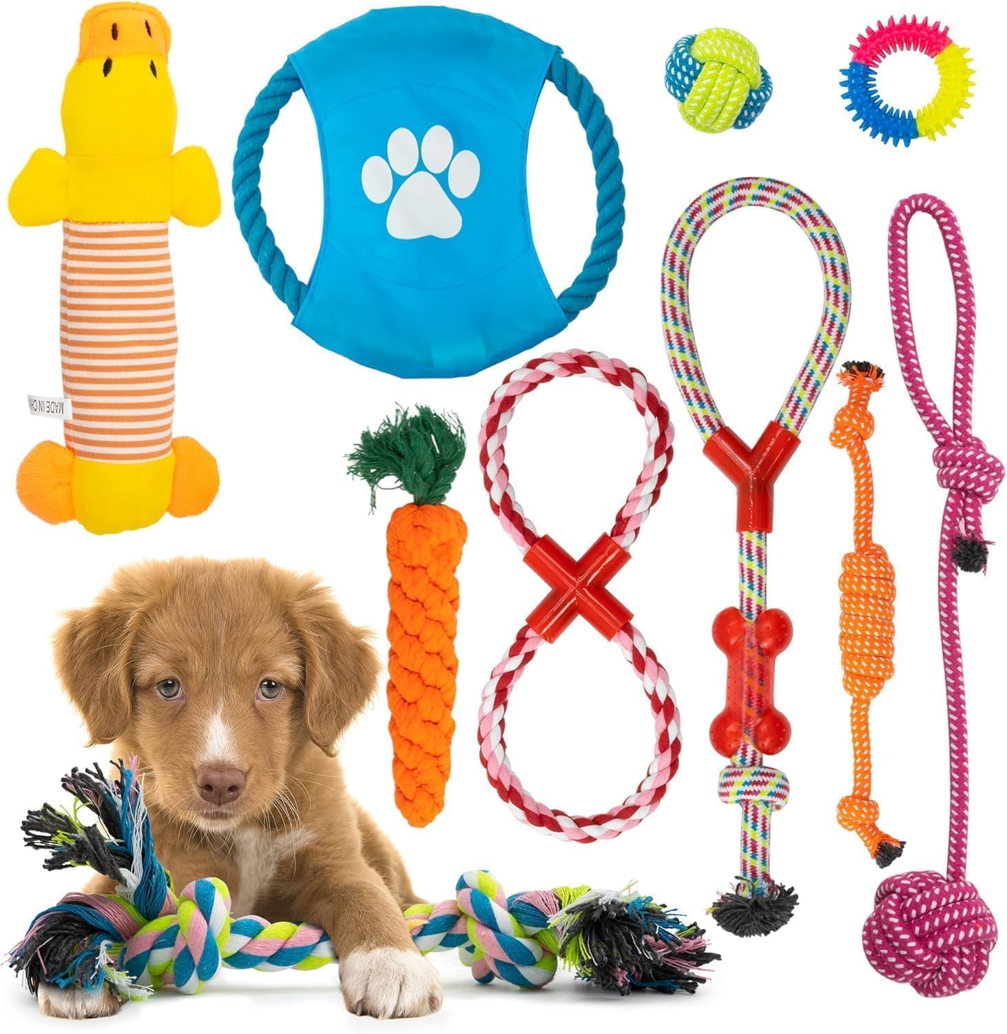 Fur & Bone Dog Chew Toys - Ultimate 10-Pack for Teething & Boredom | Cotton Rope Toys 1