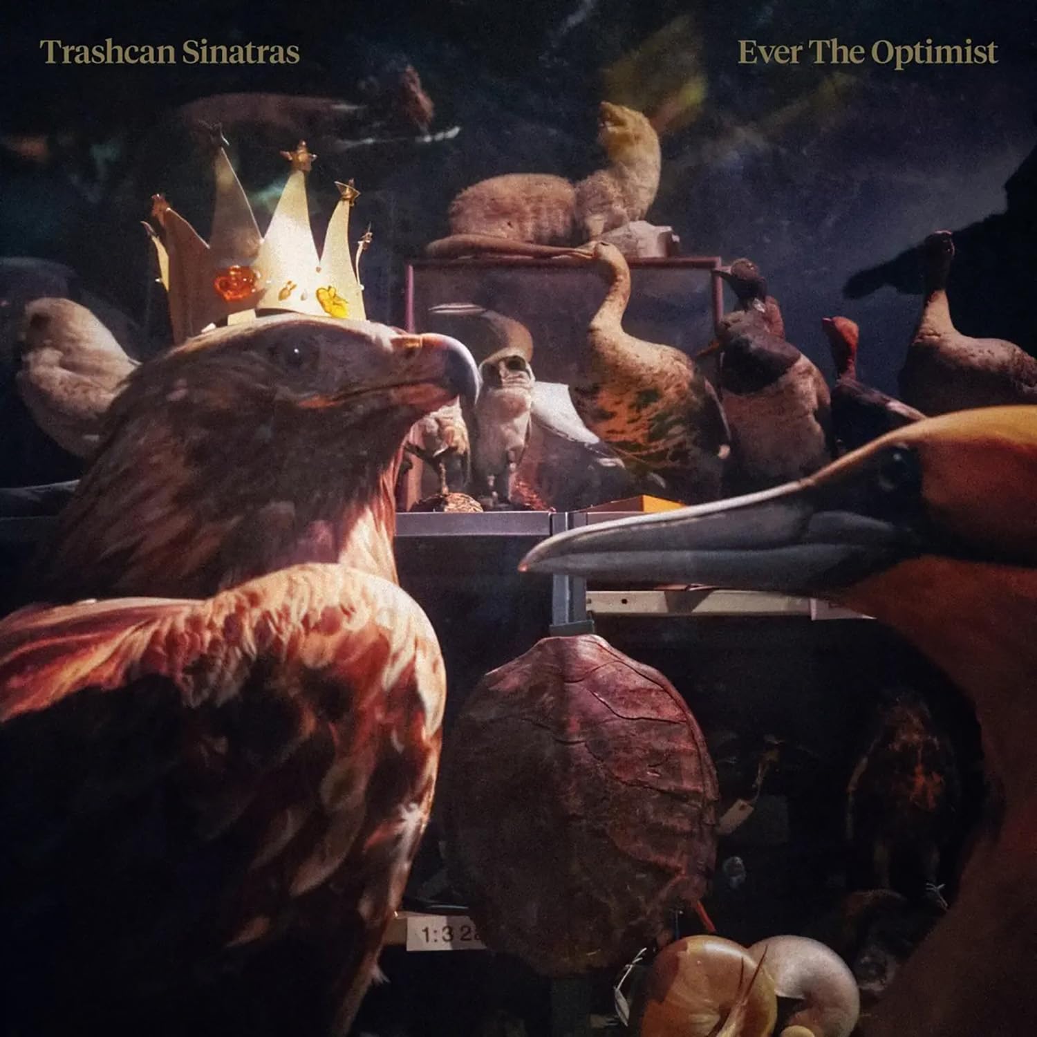 TRASHCAN SINATRAS - EVER THE OPTIMIST [Vinyl]