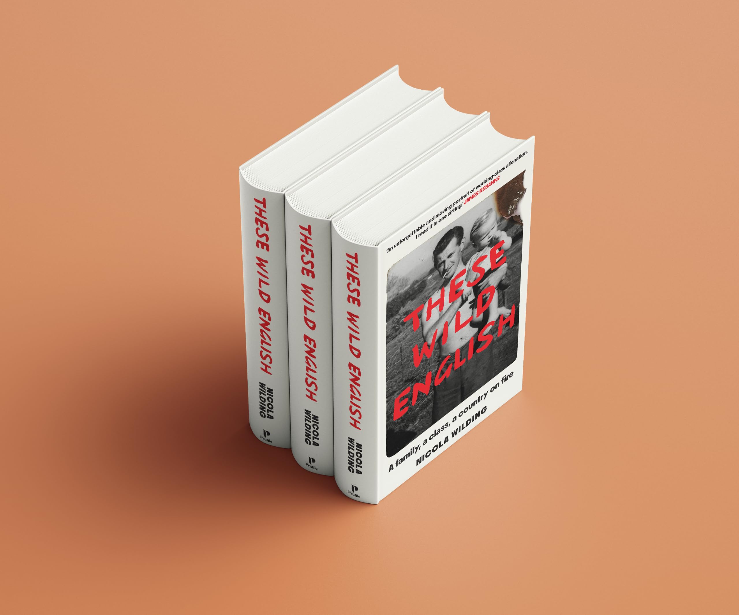These Wild English: A family, a class, a country on fire by Nicola Wilding 3