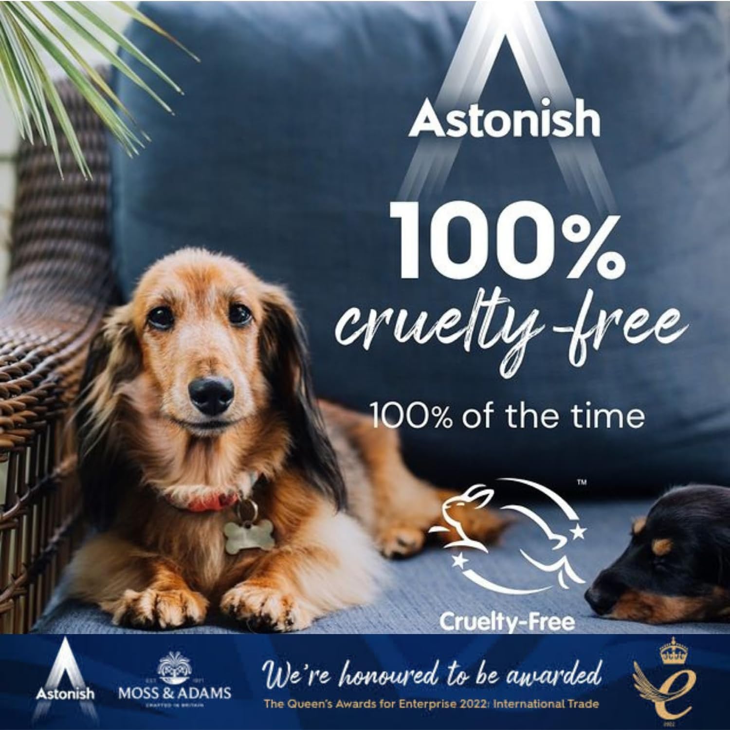 Astonish - Specialist Clean & Revive Stain Remover (350g) 6