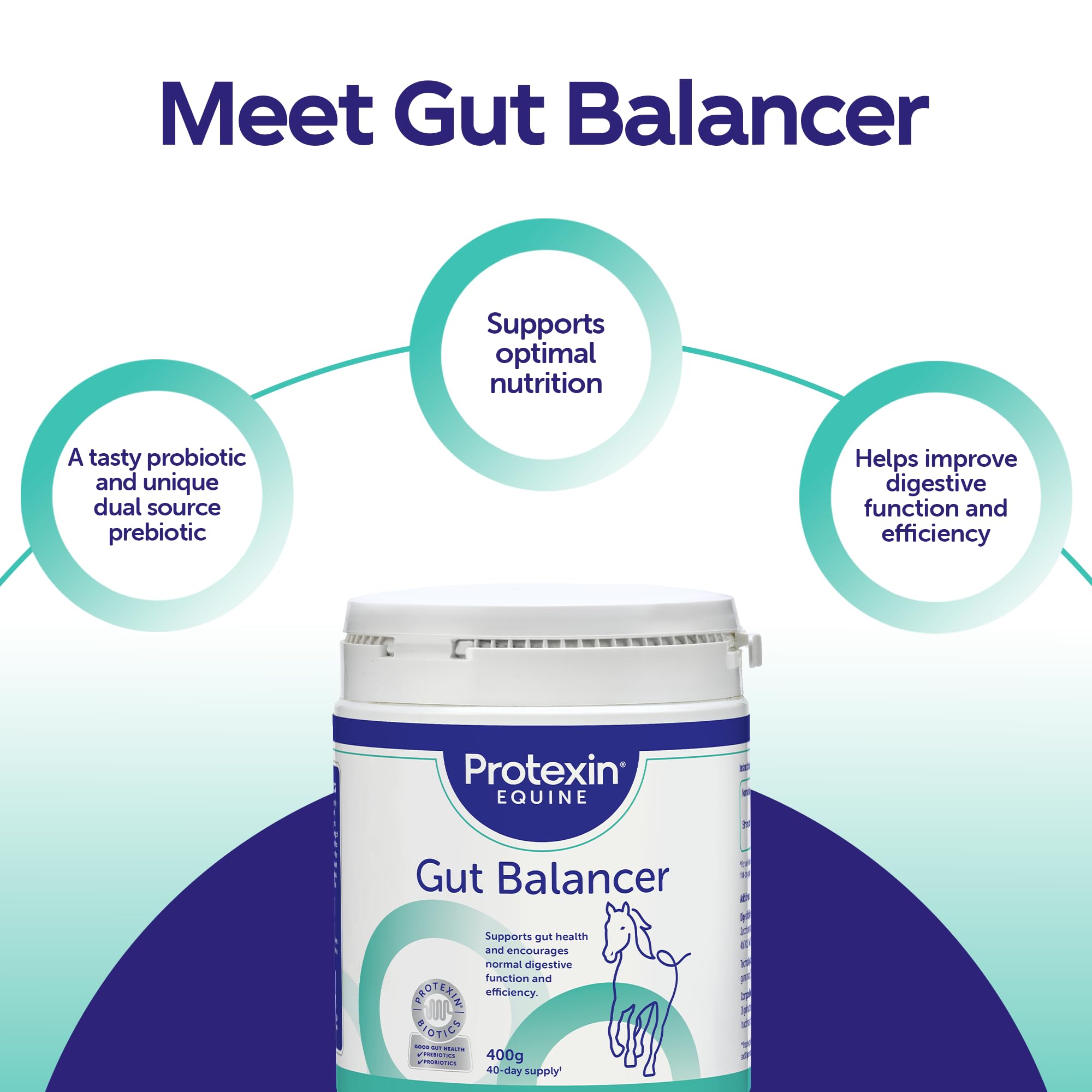 Protexin Equine Premium Gut Balancer - Daily Digestive Health Support | 700 g 3