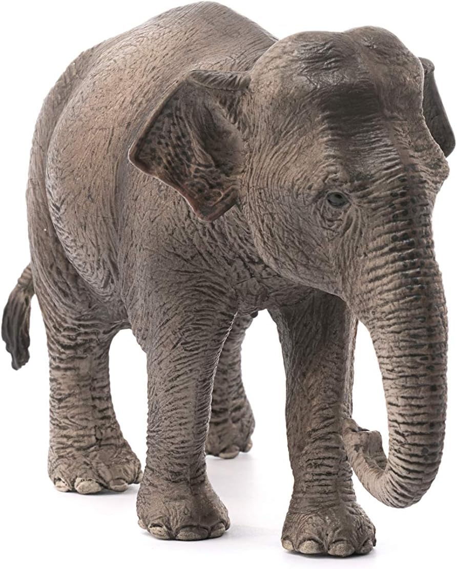 Schleich Wildlife Asian Elephant - Female Animal Figure (14753)