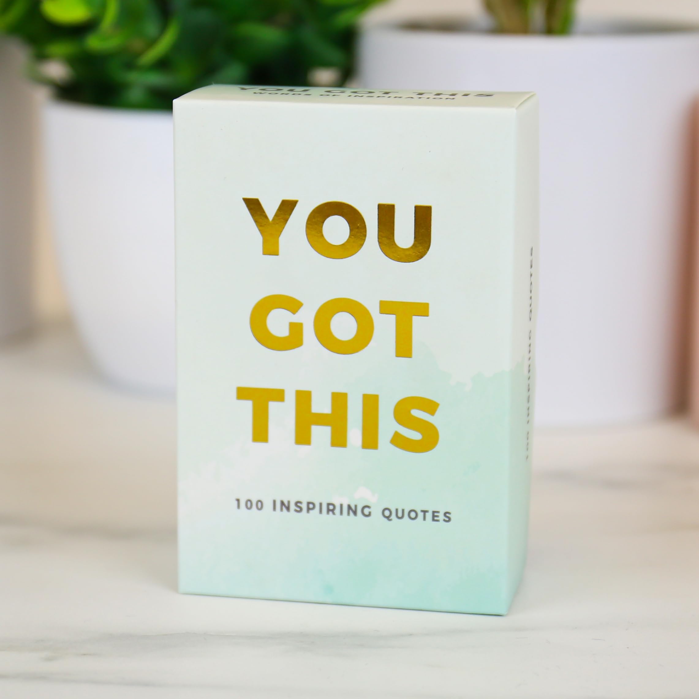 Gift Republic You Got This Inspirational Quotes Cards | 100 Count | Multicolor