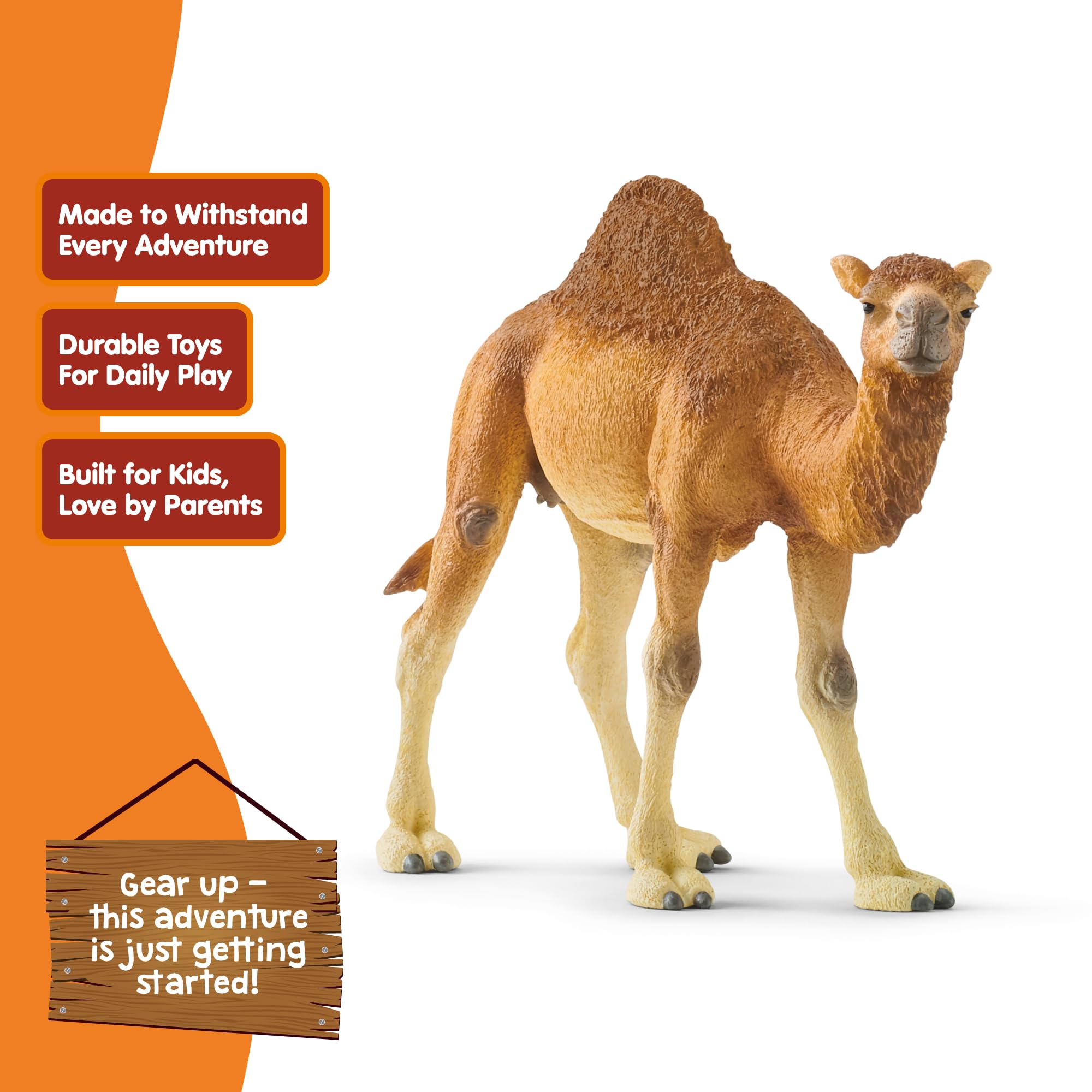 Schleich 14832 Dromedary Wild Life Toy Figurine | Ages 3-8 | Beige/Brown 2