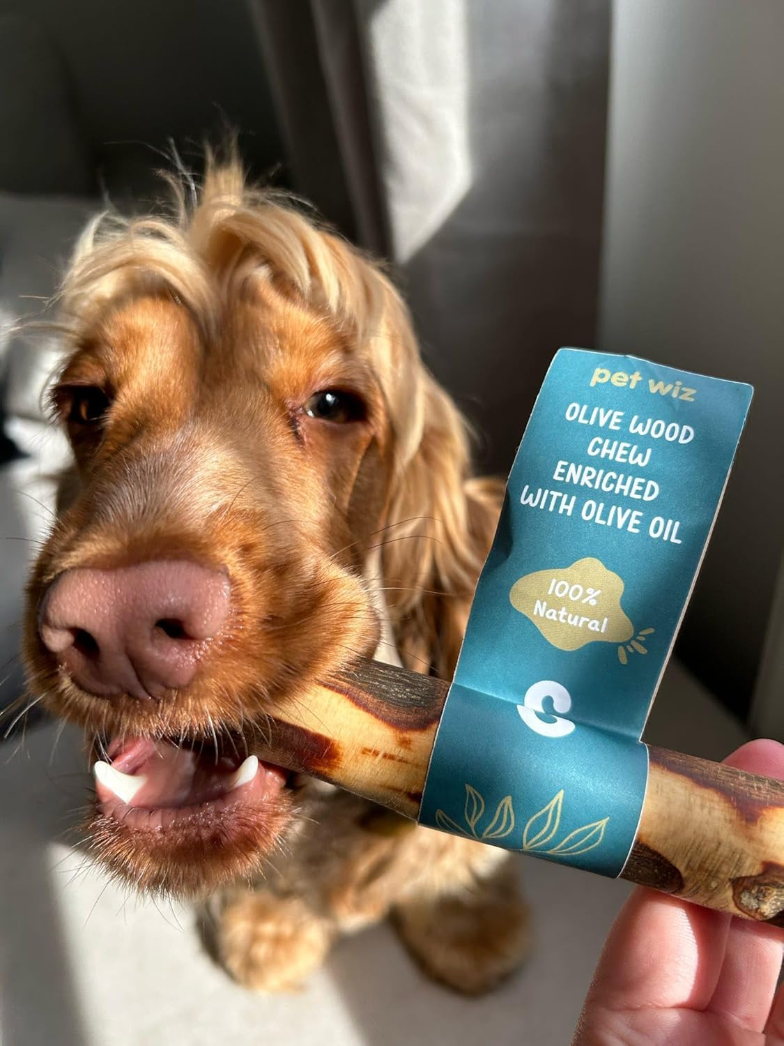 pet wiz Olive Wood Dog Chew Stick | Oral Hygiene & Mental Stimulation | Heavy Duty, Natural 2