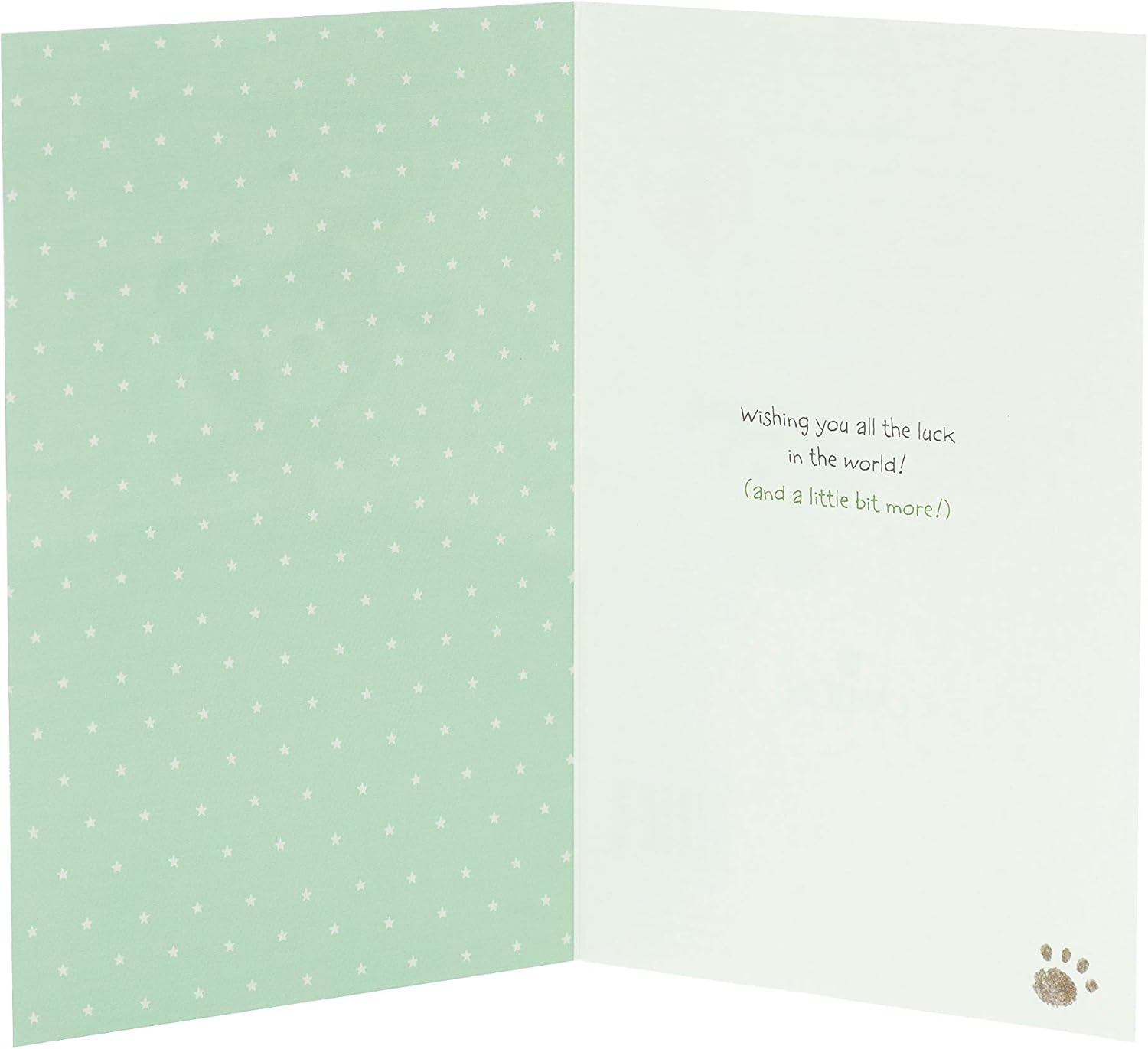 Good Luck Card - Cute Good Luck Card -