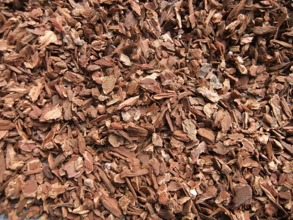 Komodo Forest Terrain Orchid Bark Fine Chips - 6L Tropical Substrate
