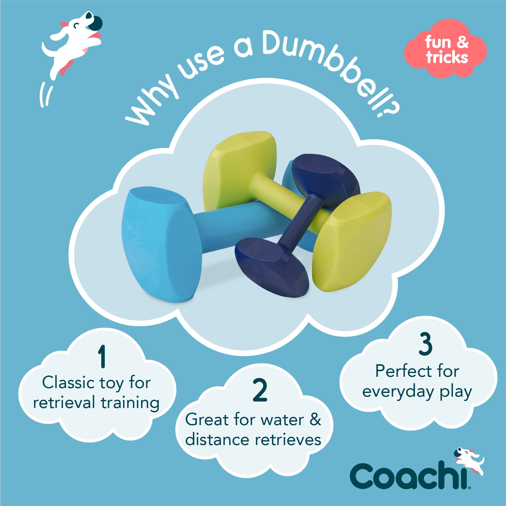 Coachi Training Dumbbell - Floats for Retrieval | Super Tough Plastic | Size M Lime 2