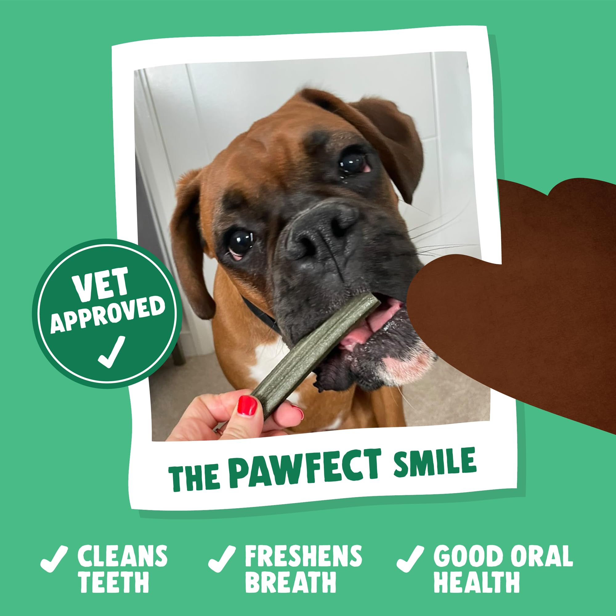 Denzel's Large Dog Dental Sticks - Peanut Butter & Peppermint - 28 Count