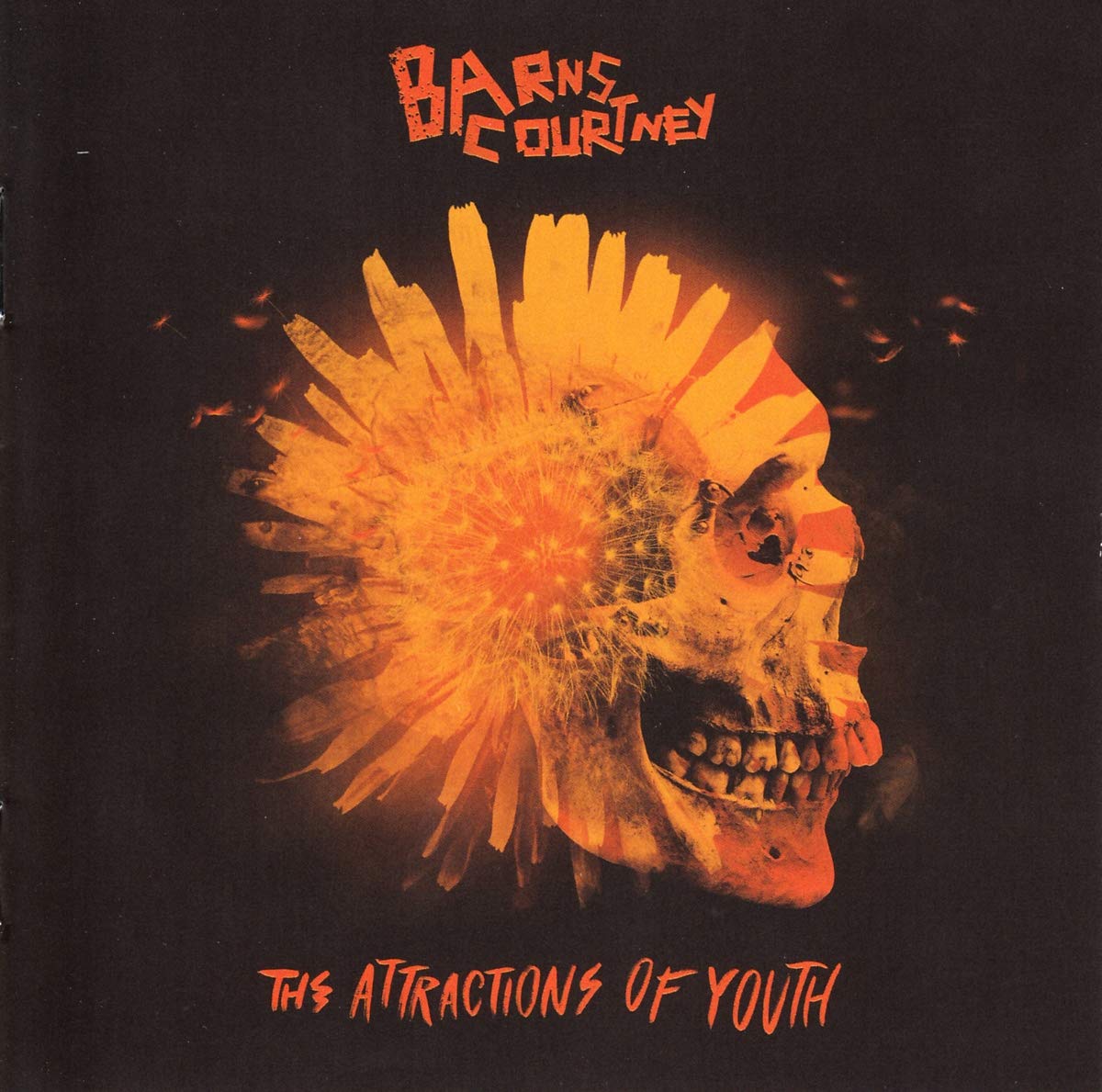 Barns Courtney - Attractions Of Youth [CD]