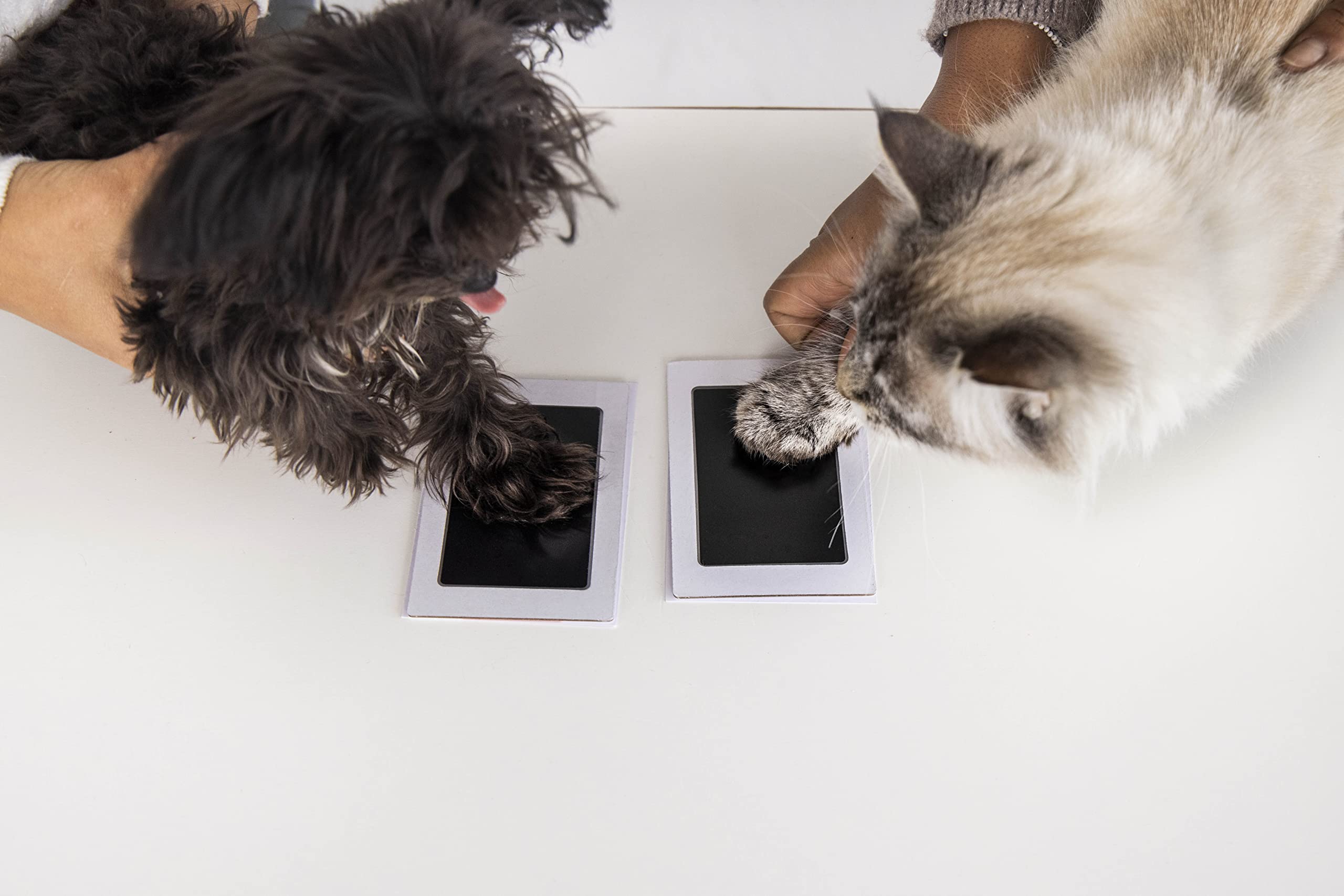 Pearhead Paw Print Clean-Touch Ink Pad Kit - Mess Free, 2-Pack for Dogs & Cats | Non-Toxic Black Ink 7