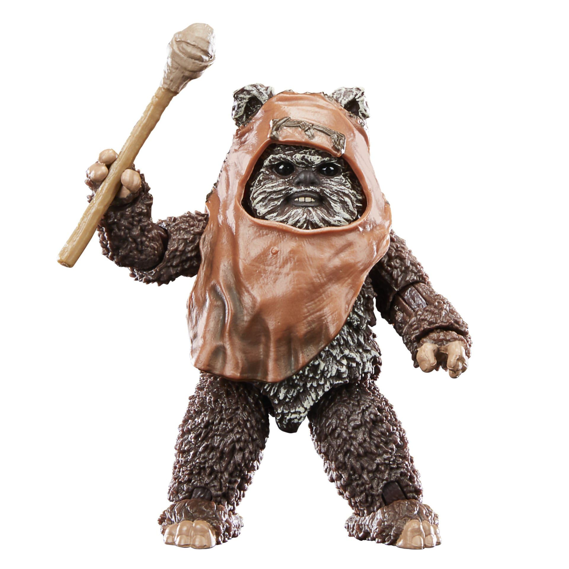 Hasbro Star Wars The Black Series Wicket Action Figure - 6-Inch Collectible from Return of the Jedi 13