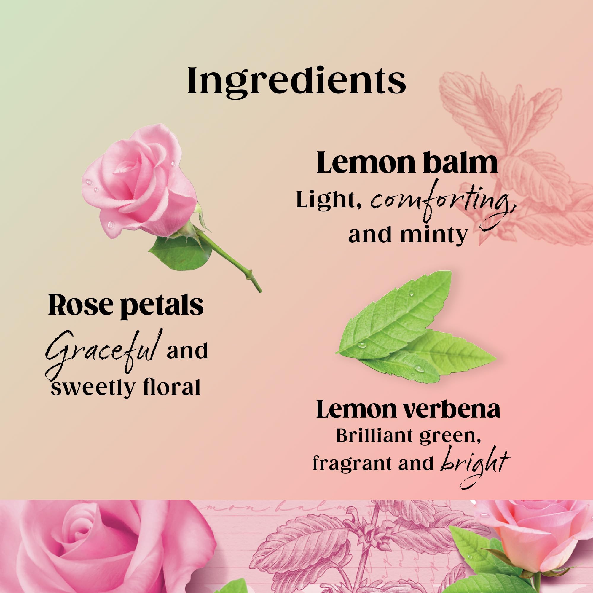 Twinings Superblends Balance Herbal Tea with Vitamin B6 - Rose & Lychee, Caffeine Free | 4 Pack of 20 Tea Bags 4