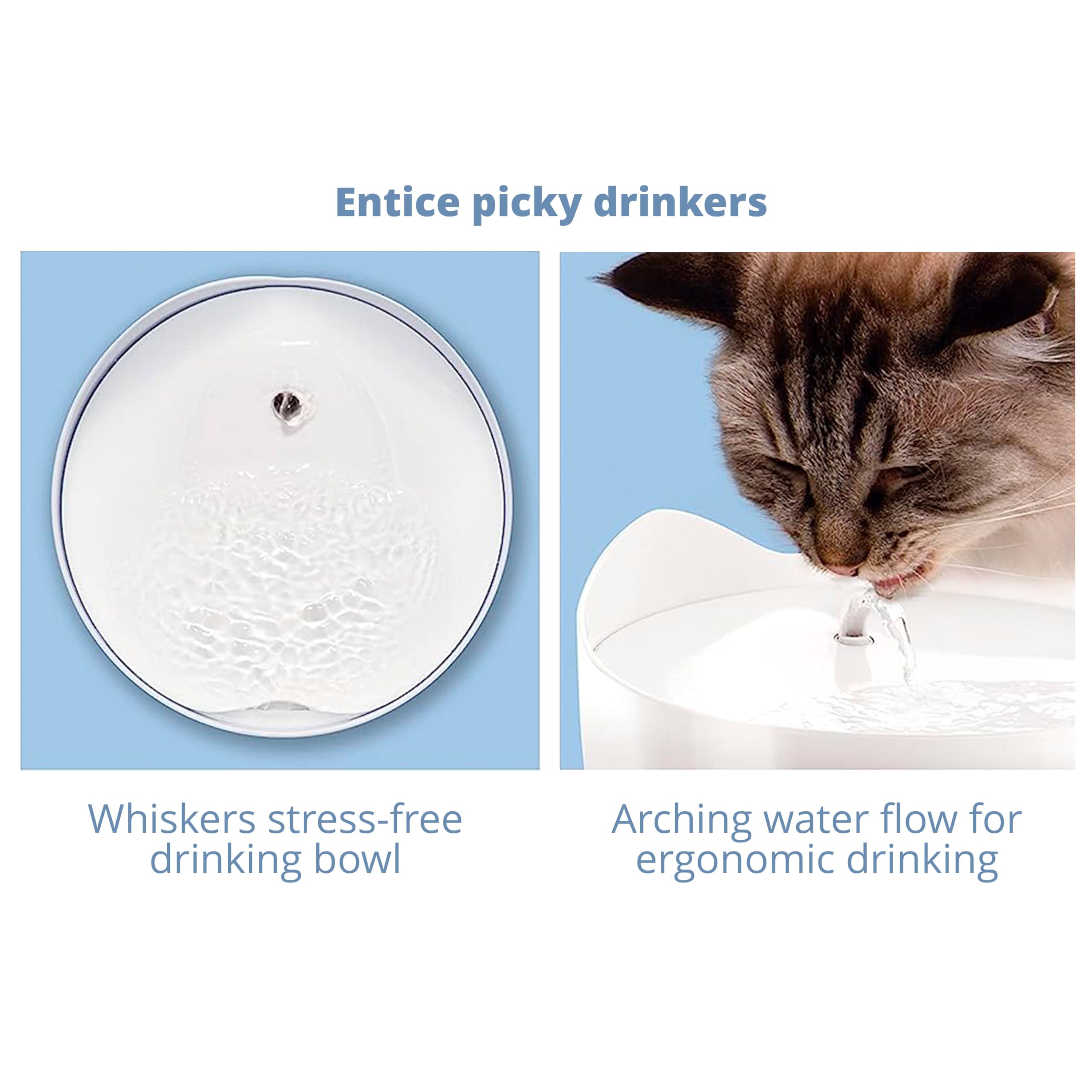 Catit PIXI Automatic Water Drinking Fountain - Encourages Hydration | Triple Action Filtration | Blue 6
