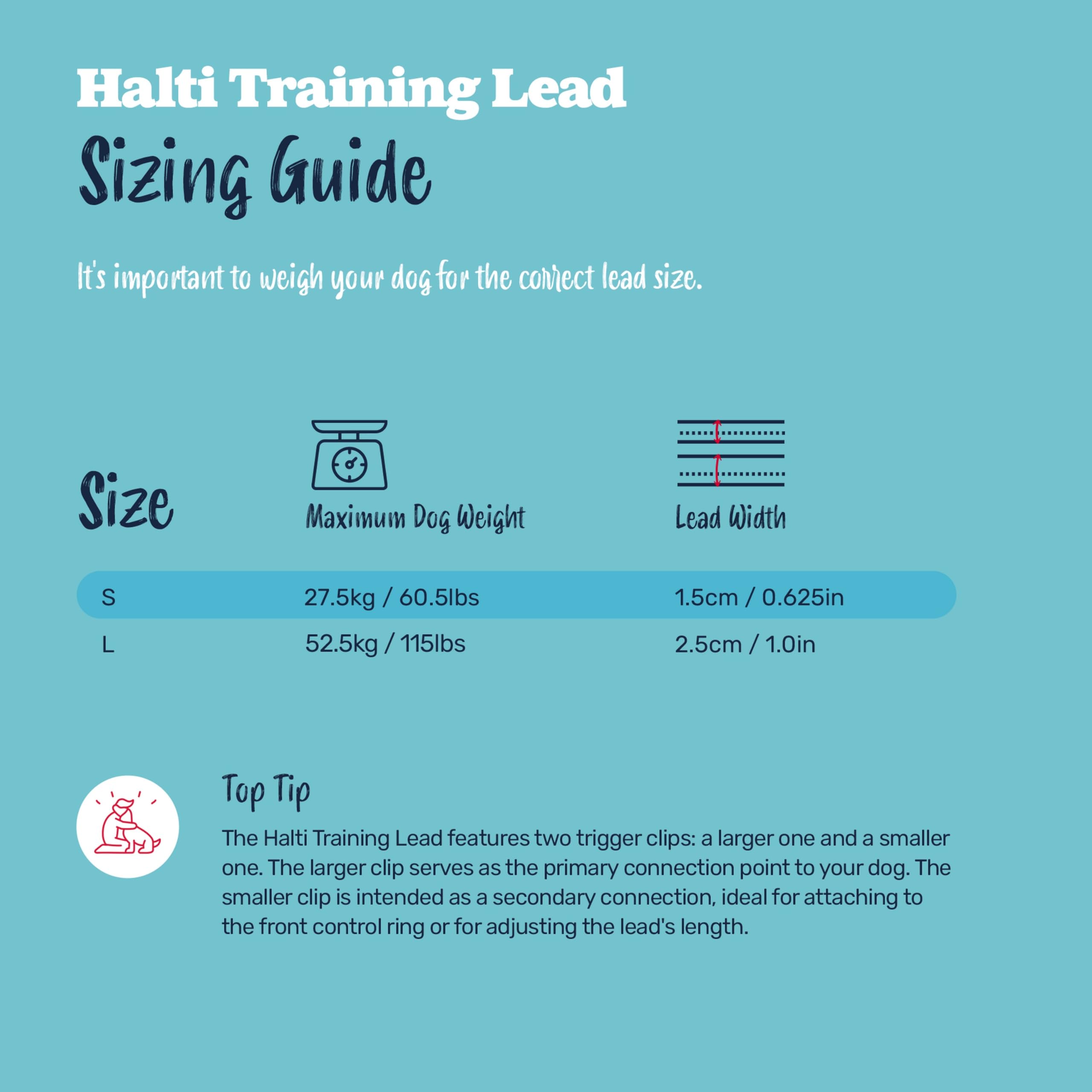 Halti Training Lead - Stops Pulling, Double-Ended, Lightweight & Durable | Size Large, Black, 2m 6