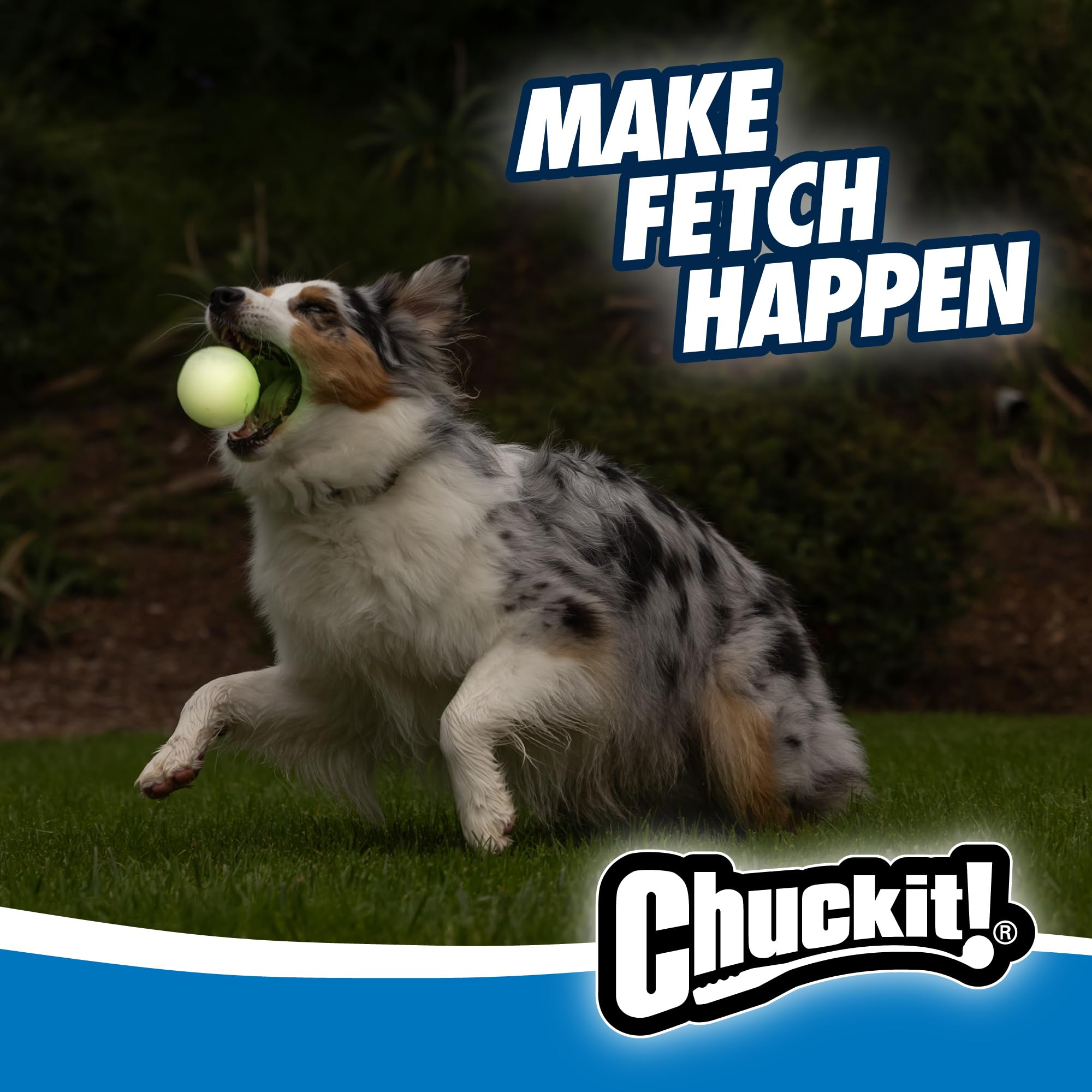 Chuckit! Max Glow Ball Medium 2 Pack - 6 cm Diameter Light Up Dog Toy 5