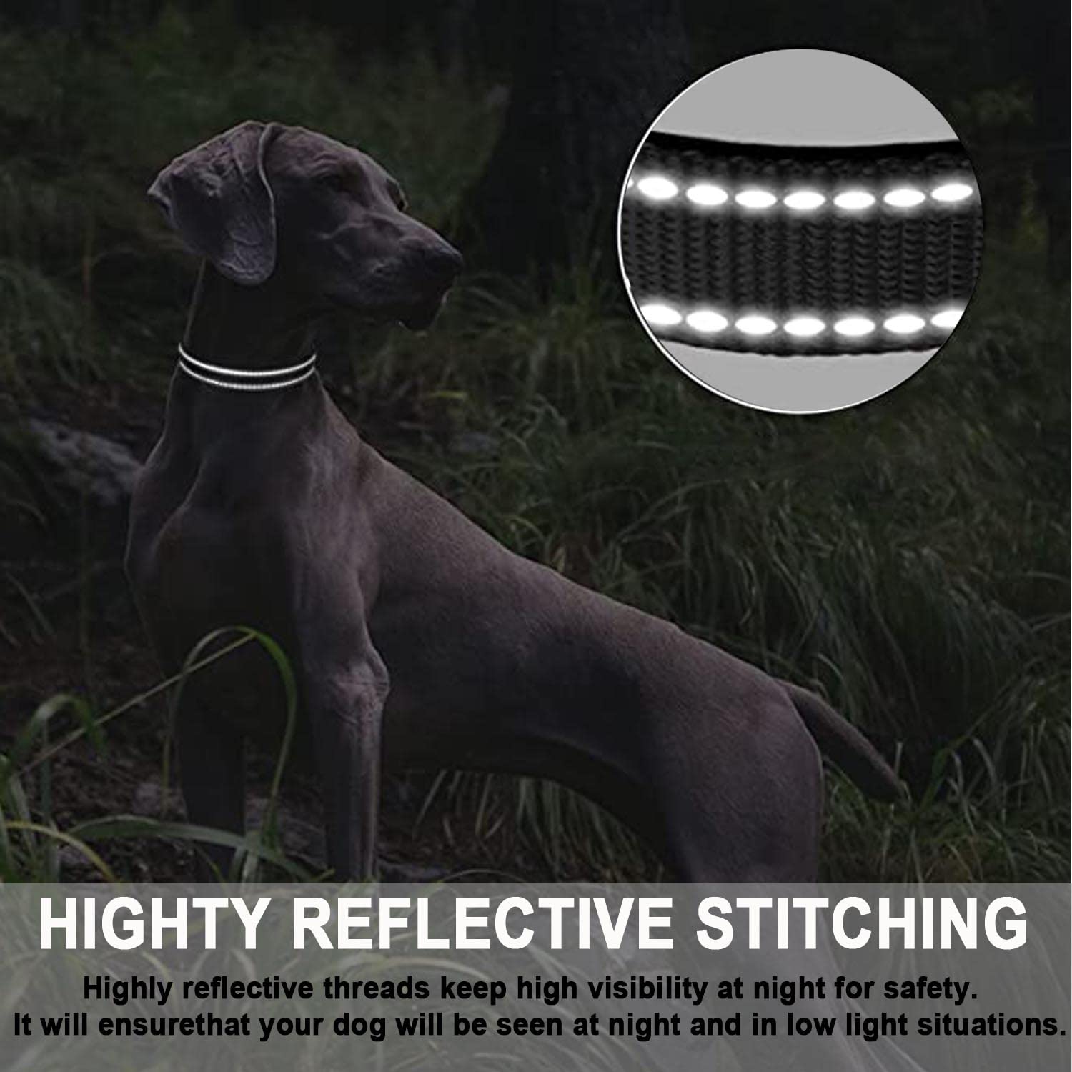 ATETEO Reflective Adjustable Dog Collar with Neoprene Padding | Black, Size S (9-14.2 inch) 5