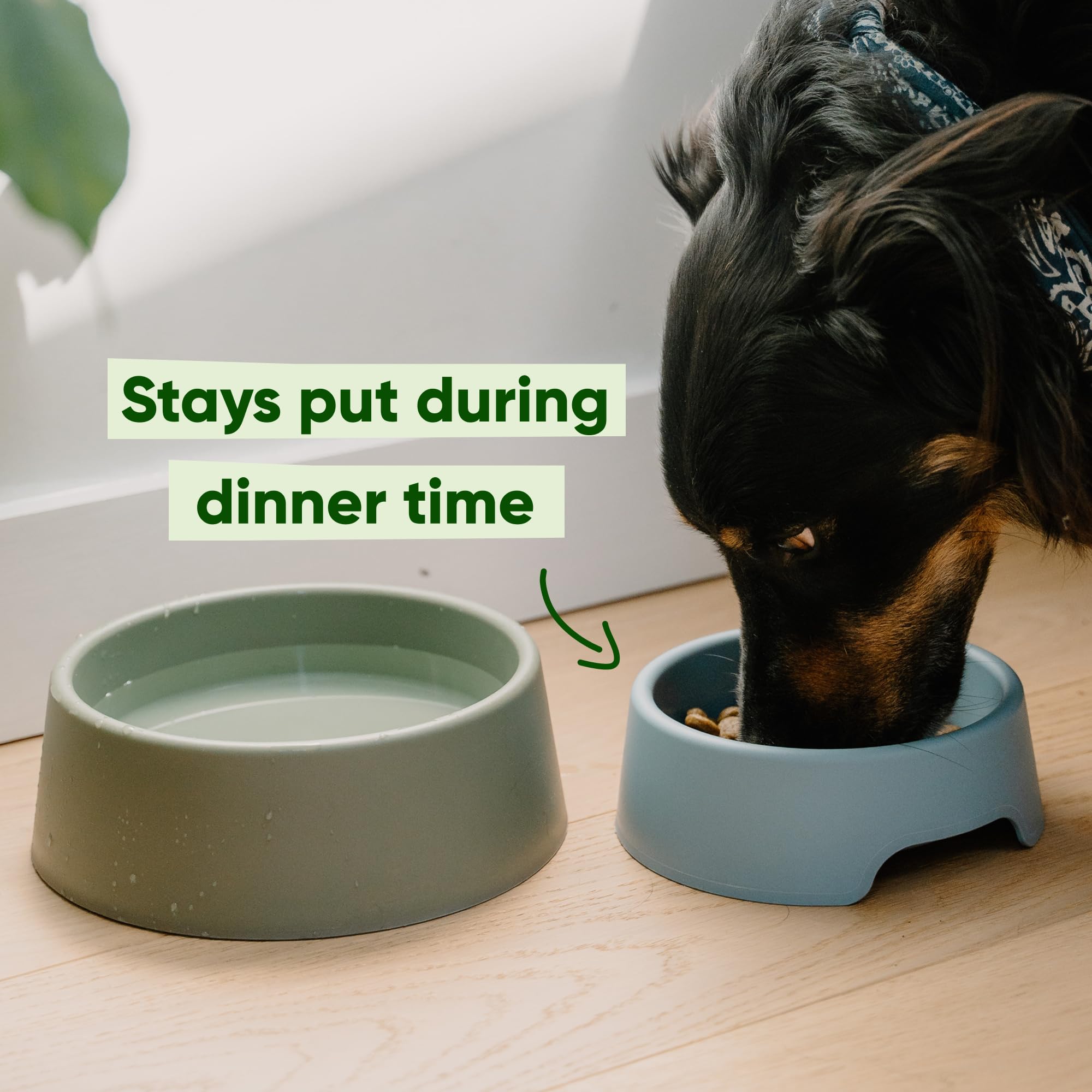 Beco Dog Bowl - Steady Non-Slip Food & Water Bowl | Large | Recycled Plastic 4