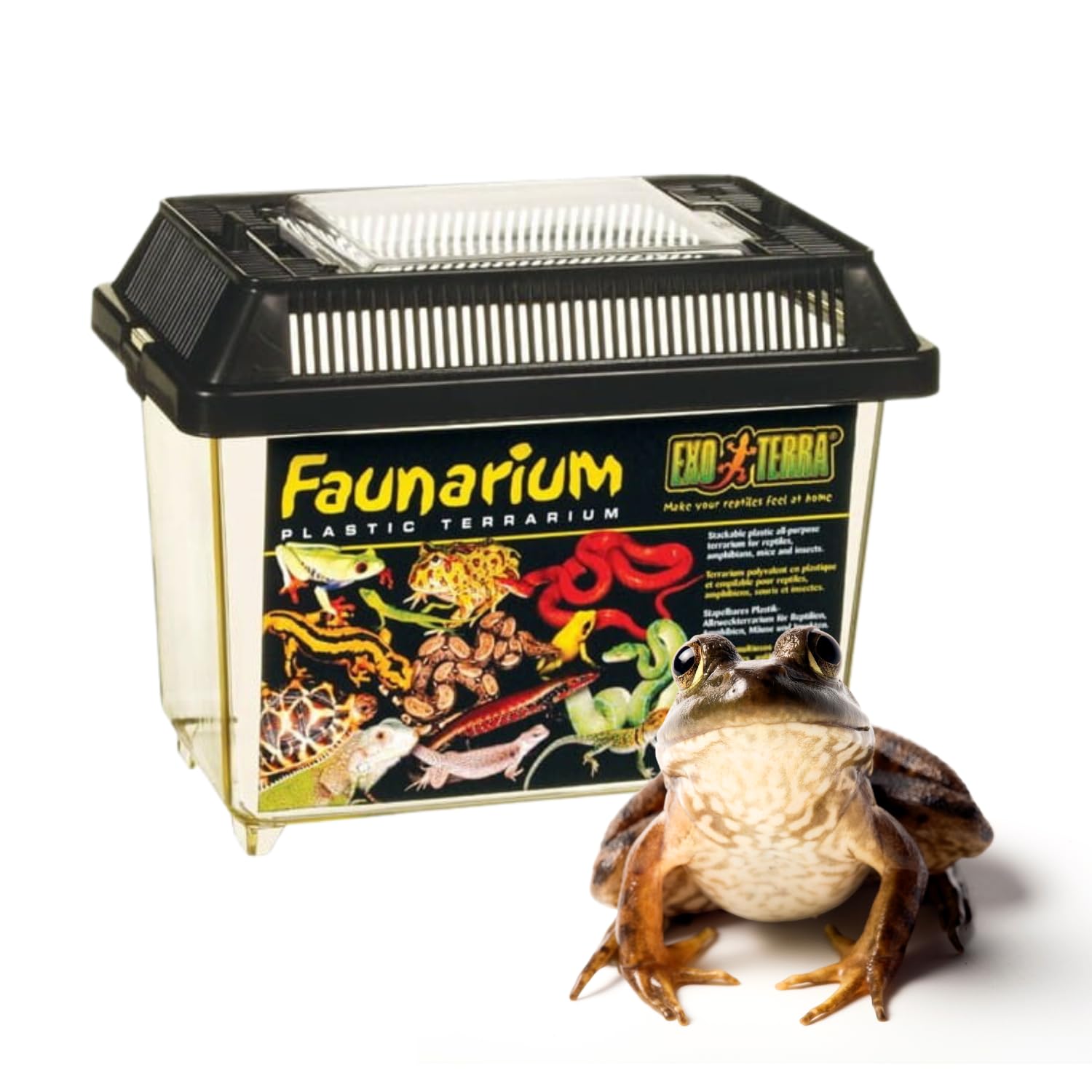 Exo Terra Faunarium Small PT2255 - Plastic Transport & Temporary Housing | 230x155x165 mm 5