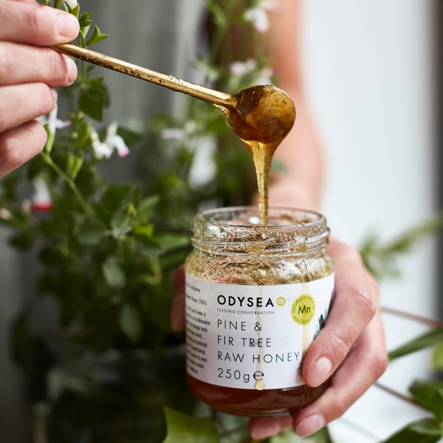 Odysea Greek Raw Pine & Fir Honey - 100% Unprocessed | 250g Jar | Great Taste Award Winner