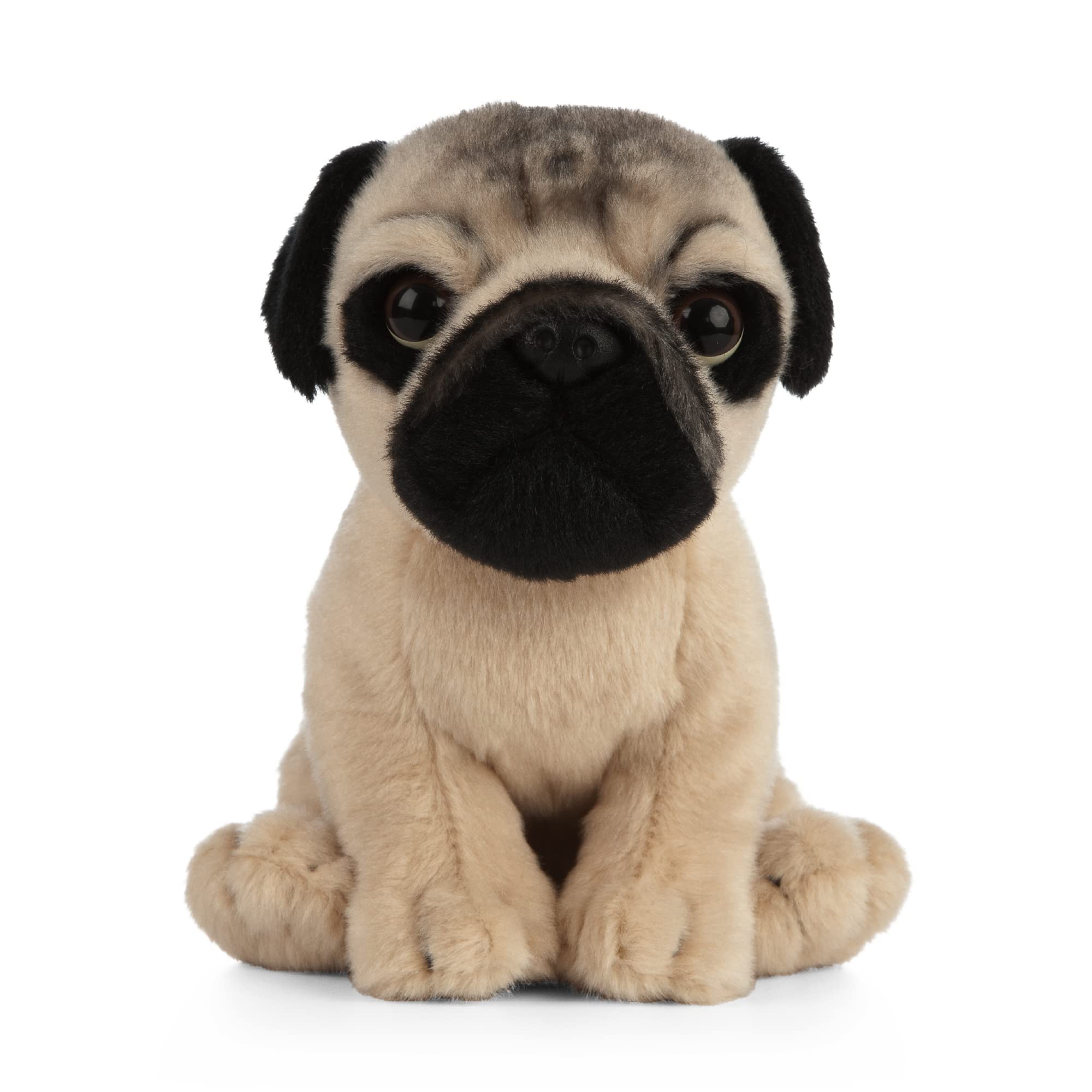 Keycraft Living Nature Pug Puppy Plush Toy - 16cm Tall | Eco-Friendly | Highly Detailed 1