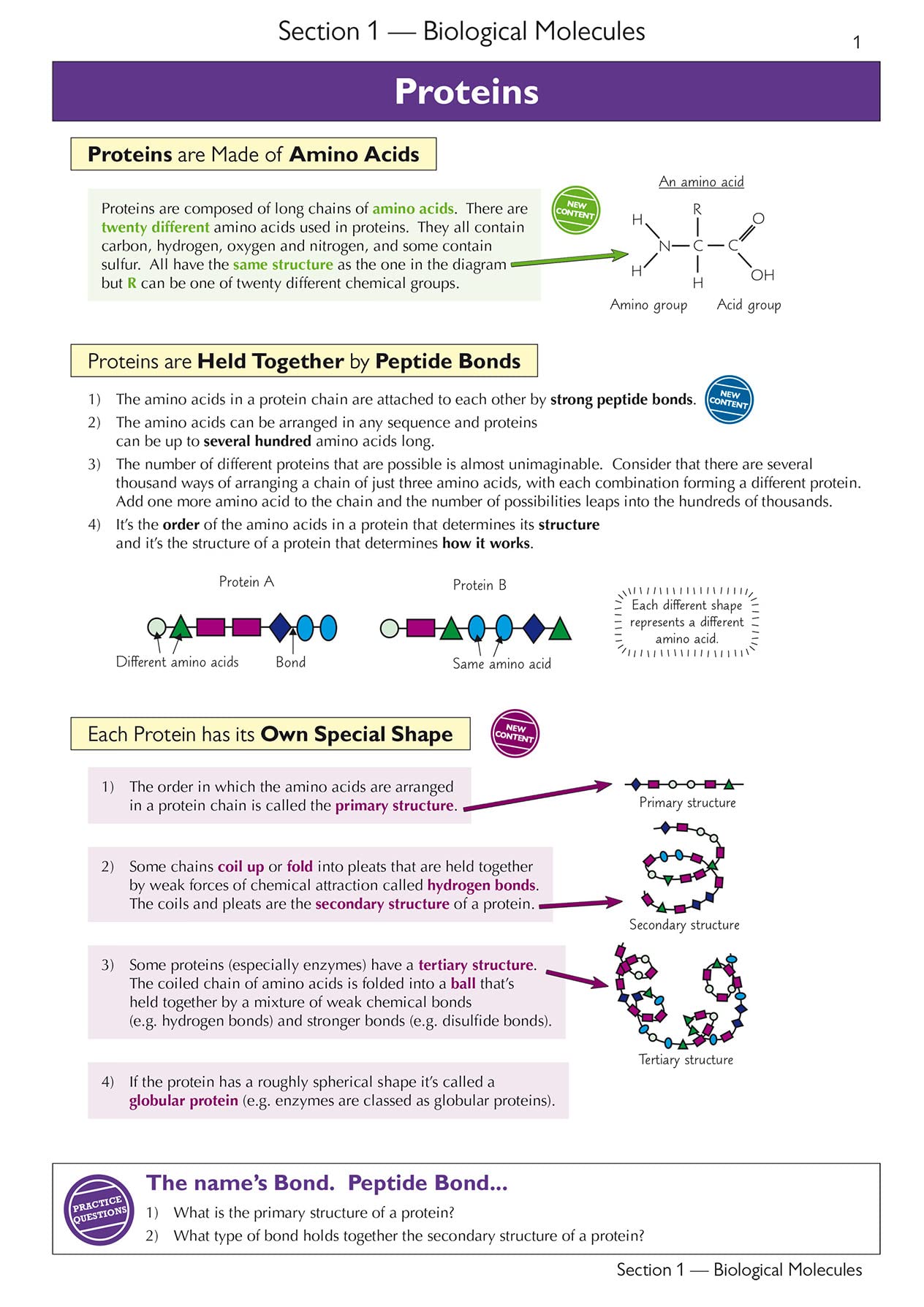 CGP Head Start to A-Level Biology - Bridging GCSE to A-Level Prep | Paperback