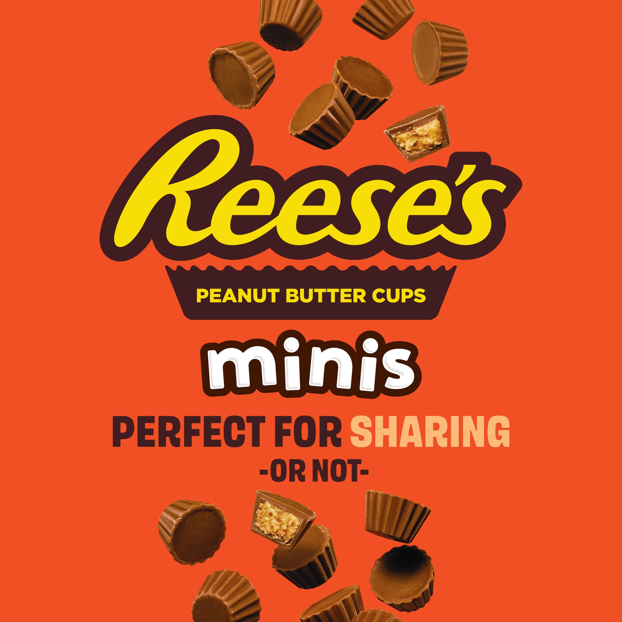 Reese's Minis More to Share Pouch - Peanut Butter & Milk Chocolate Candy | 185g 2