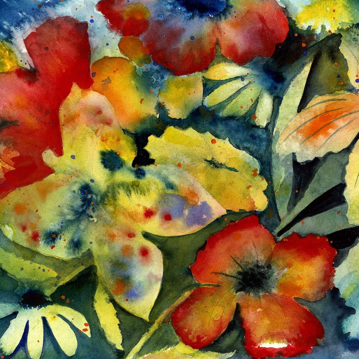 Big Thief - Songs and Instrumentals [Audio CD] 5