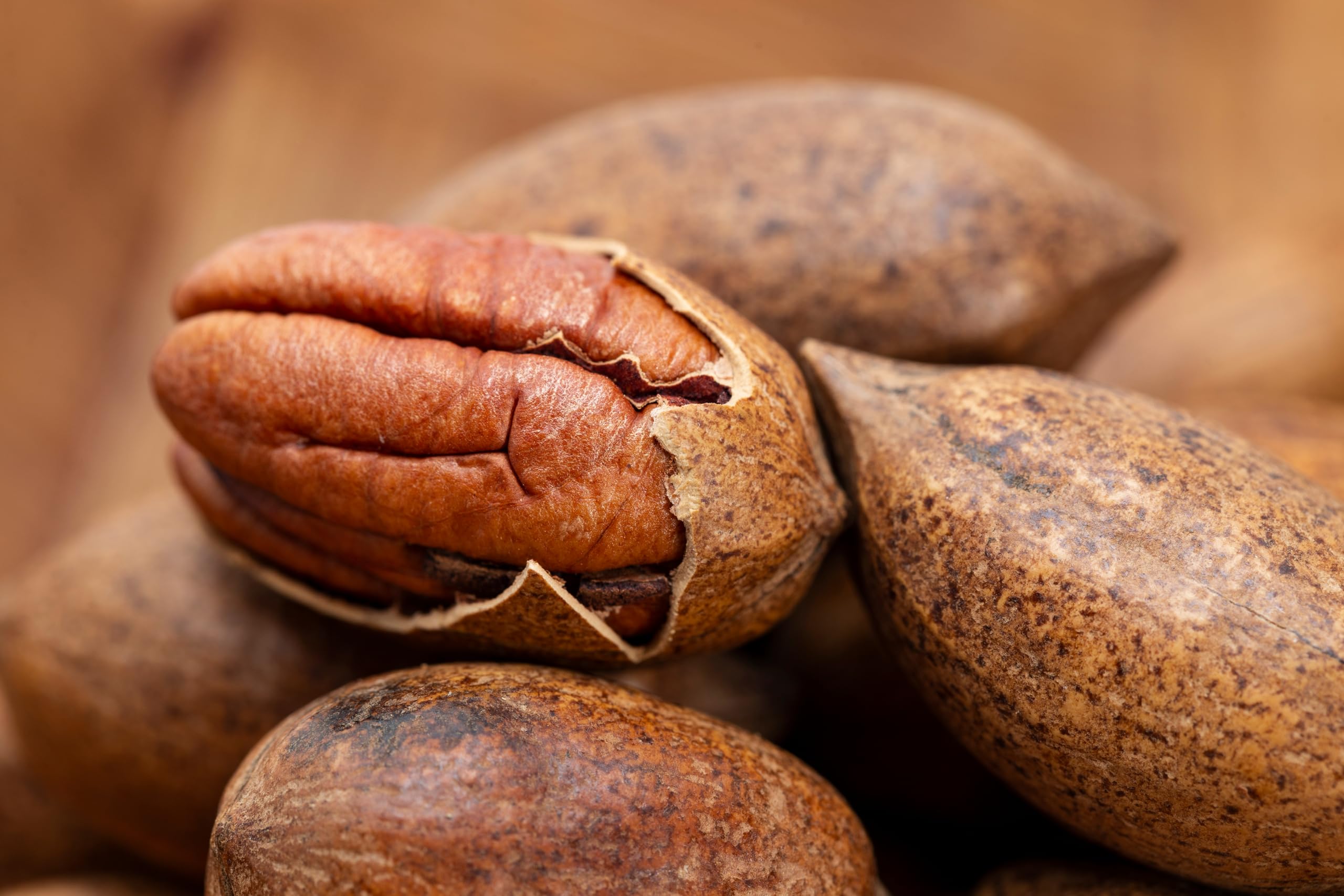 Mundo Feliz Organic Pecan Nuts - 5 x 100g Pack | Protein Source | Unsalted 5