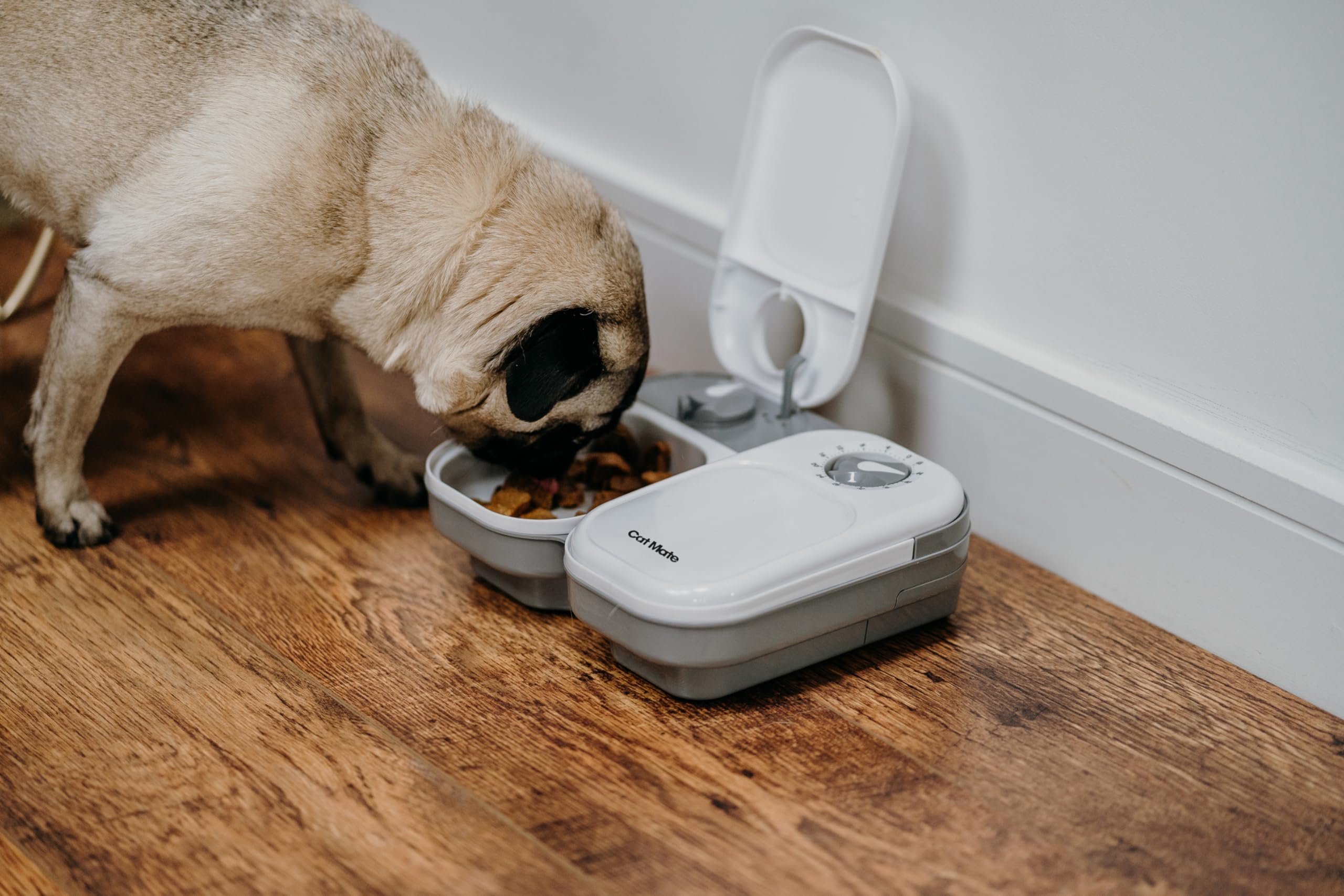 Cat Mate C200 2 Meal Automatic Pet Feeder with Timer and Ice Pack for Cats and Small Dogs - White 6