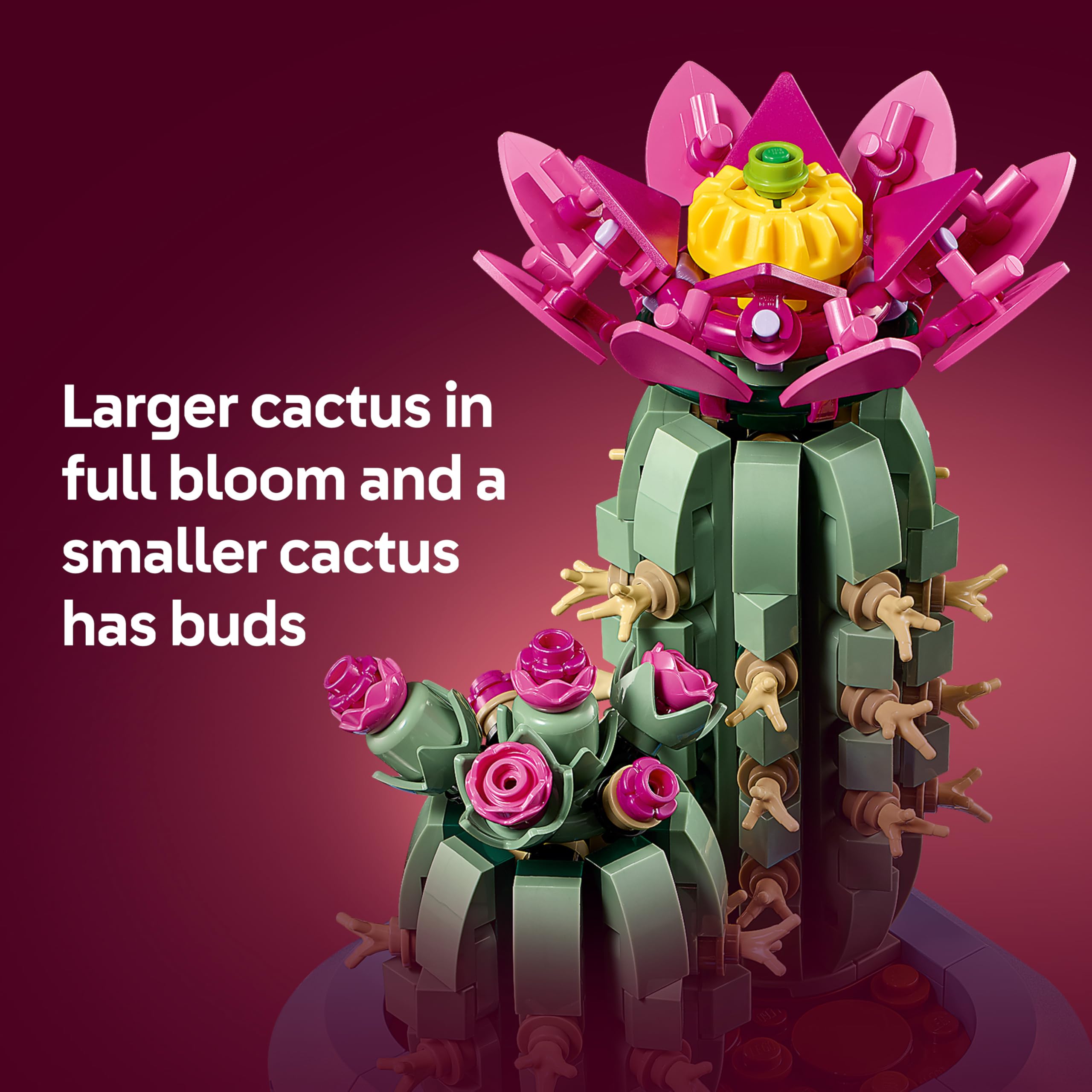 LEGO Botanicals Flowering Cactus Building Set 11509 - 482 Pieces | Ages 9+ | Multicolor 4
